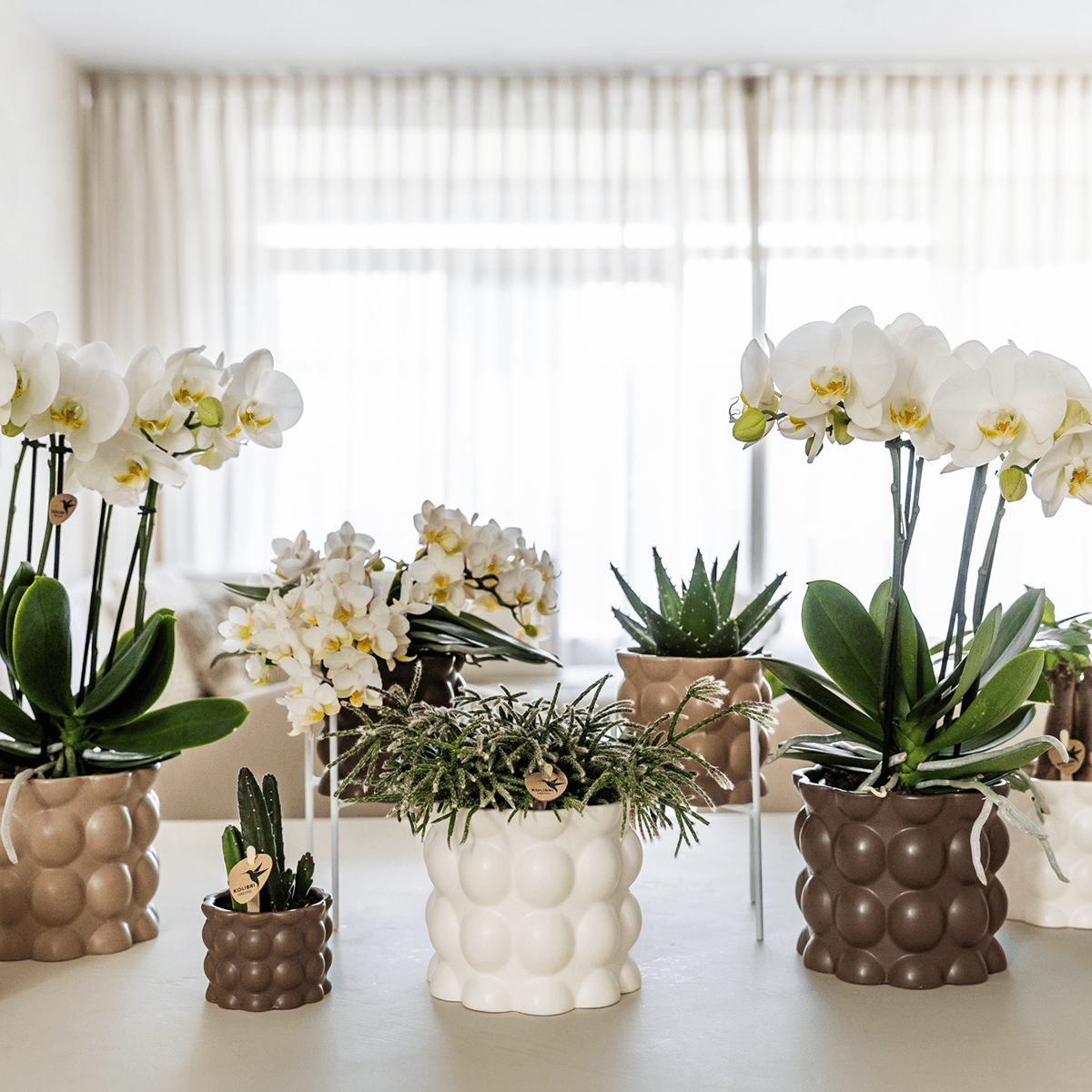Image of Ziertopf Cotton – Weiß – Ø9cm – Blumentopf mit matter Oberfläche – Pflanztopf aus der Slow Living Kollektion – Für kleine Zimmerpflanzen & Orchideen-2
