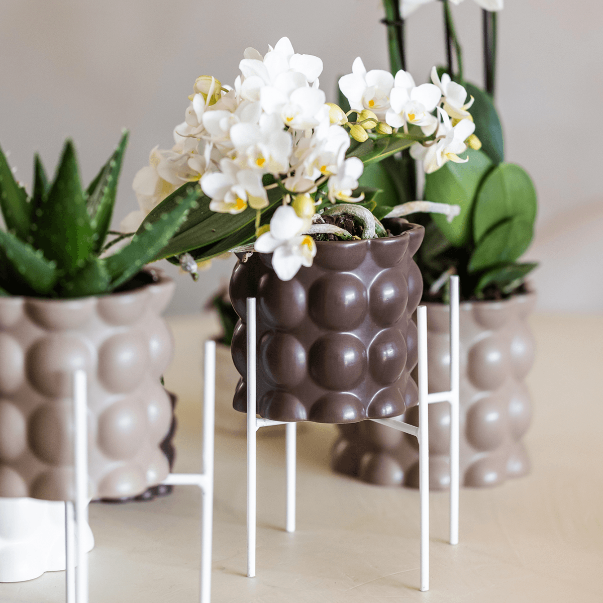 Image of Ziertopf Cotton – Braun – Ø9cm – Blumentopf mit matter Oberfläche – Pflanztopf aus der Slow Living Kollektion – Für kleine Pflanzen & Orchideen-4