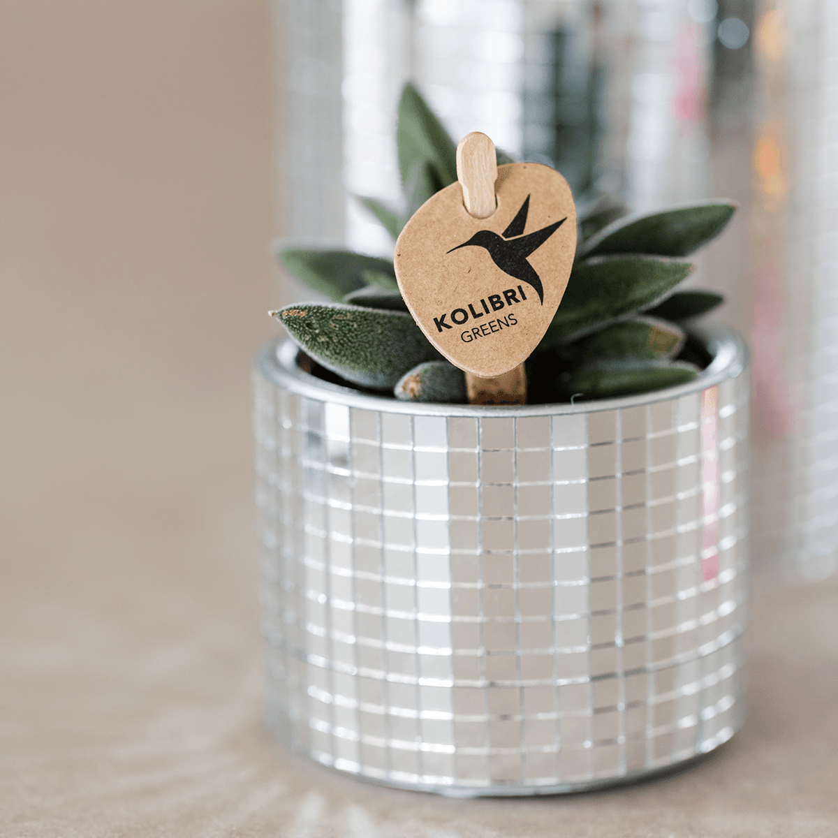 Image of Blumentopf Disco – Ø6cm – Kleiner Keramik Ziertopf mit glänzender Struktur – Moderner Übertopf für Mini – Zimmerpflanzen, Sukkulenten & Kakteen-3