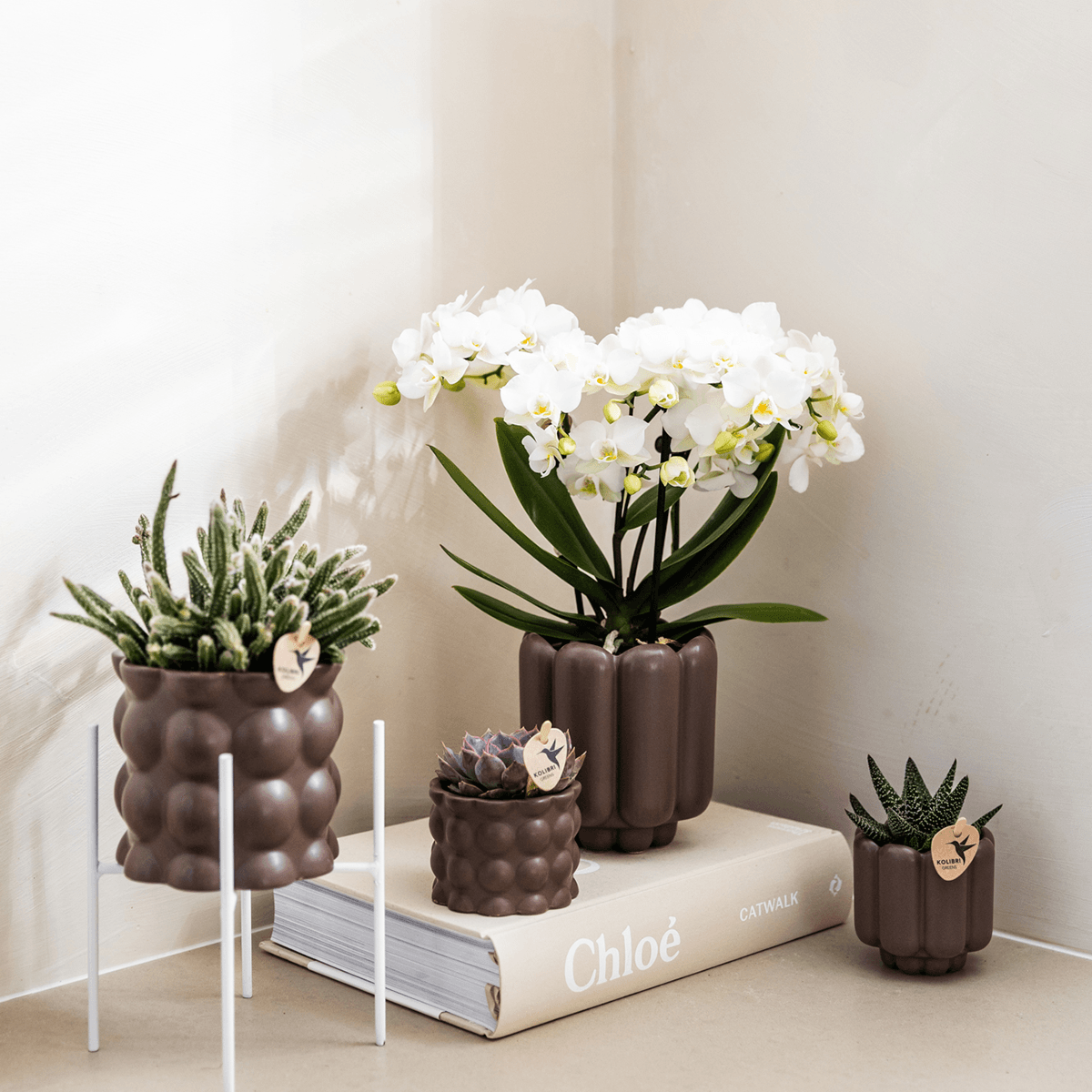 Image of Retro Pflanztopf – Braun – Ø6cm – Dekorativer Mini – Übertopf aus Keramik – Blumentopf mit Rillenstruktur für Orchideen & Grünpflanzen-1