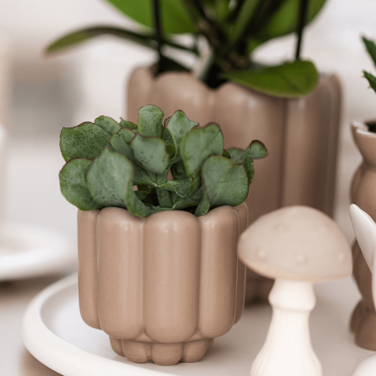 Image of Retro – Ziertopf Sand Ø6cm – Runder Blumentopf mit Rillenstruktur – Übertopf im Vintage – Design – Mattes Finish für Mini-1