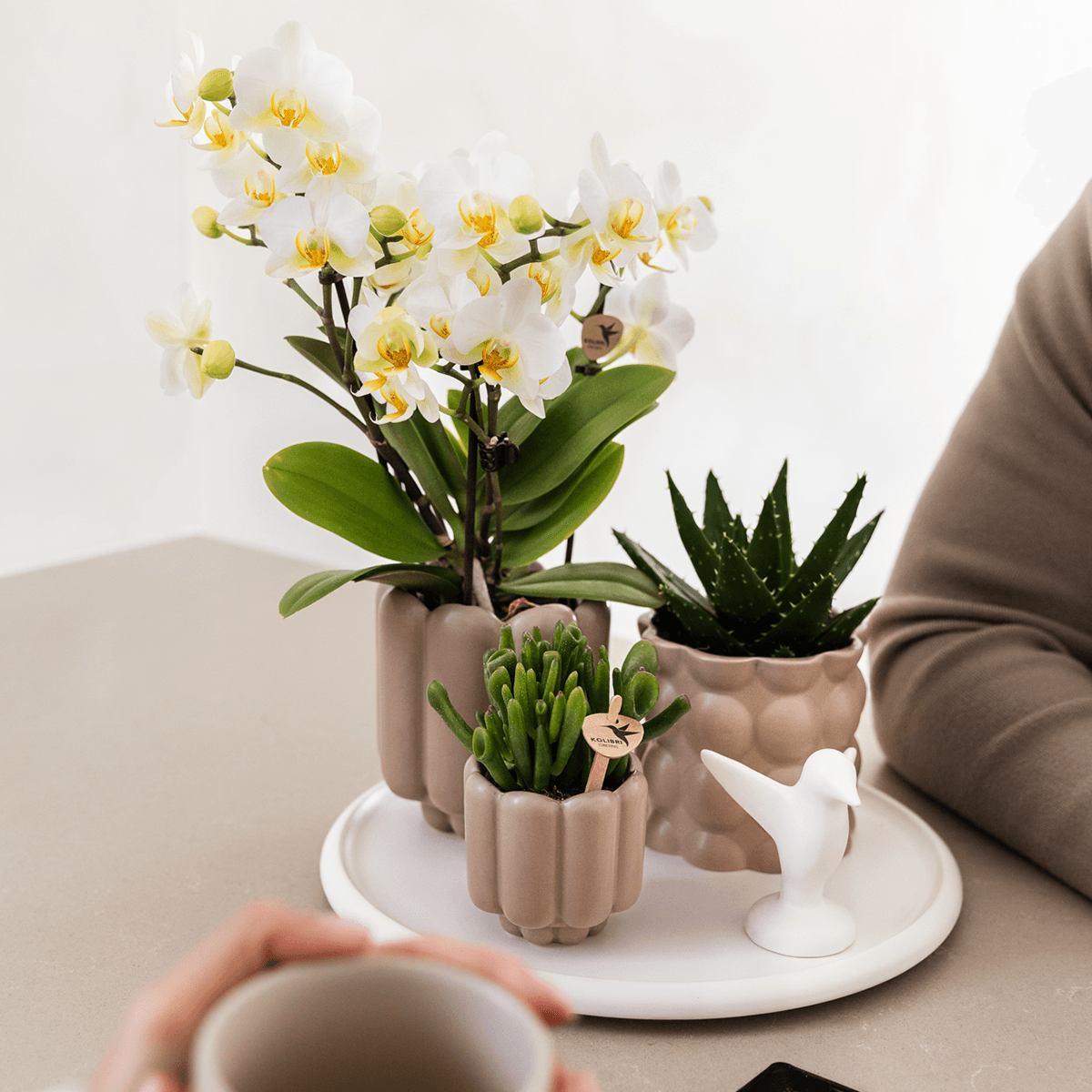 Image of Retro – Ziertopf Sand Ø9cm – Runder Übertopf mit Rillenstruktur – Blumentopf im Vintage – Design – Mattes Finish für Zimmerpflanzen & Orchideen-1