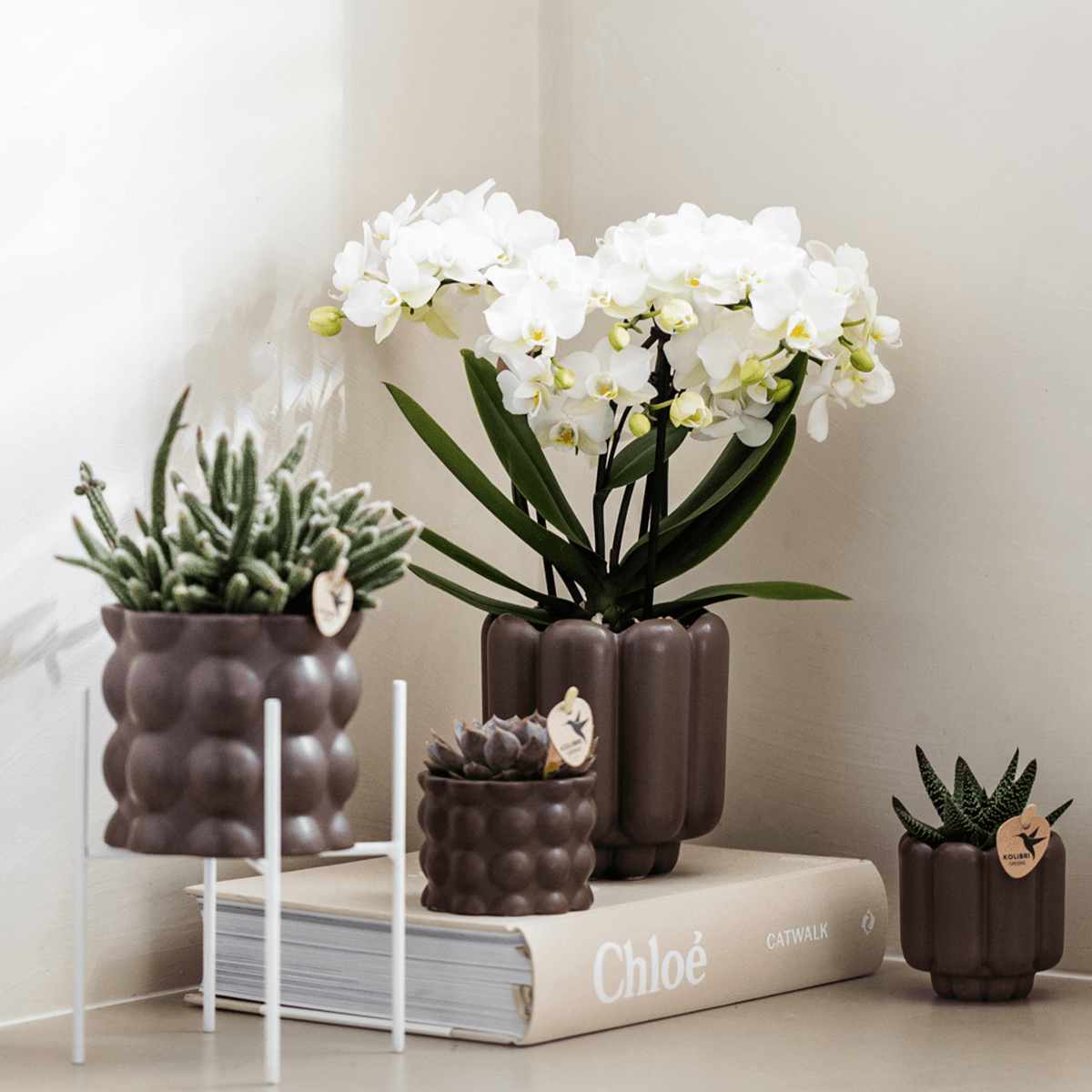 Image of Retro Pflanztopf – Brown – Ø9cm – Dekorativer Übertopf aus Keramik – Blumentopf mit Rillenstruktur – Für Orchideen & Grünpflanzen-1
