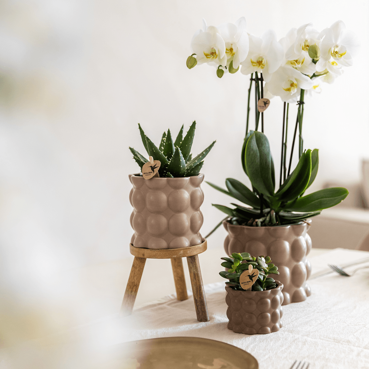 Image of Blumentopf Cotton – Sand – Ø6cm – Kleiner Keramik Pflanztopf in matter Optik – Stilvoller Übertopf im Slow Living Design für Mini-2