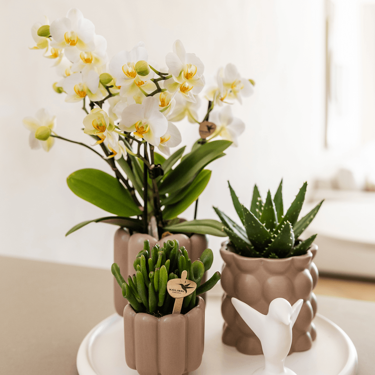 Image of Retro – Ziertopf Sand Ø6cm – Runder Blumentopf mit Rillenstruktur – Übertopf im Vintage – Design – Mattes Finish für Mini-2
