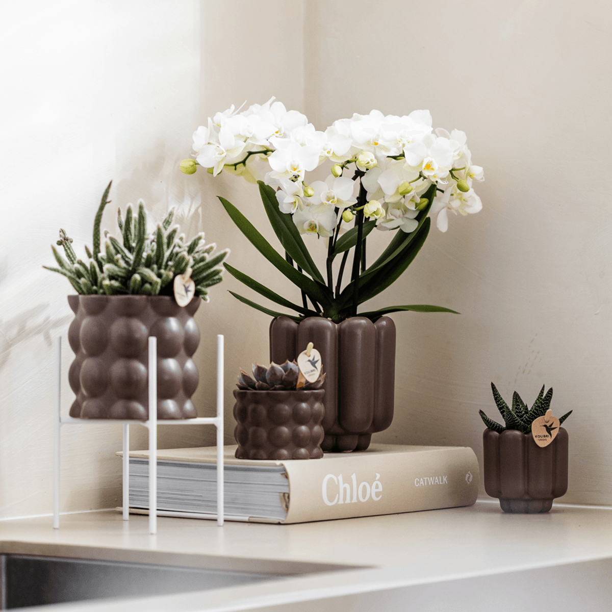 Image of Retro Pflanztopf – Braun – Ø6cm – Dekorativer Mini – Übertopf aus Keramik – Blumentopf mit Rillenstruktur für Orchideen & Grünpflanzen-2