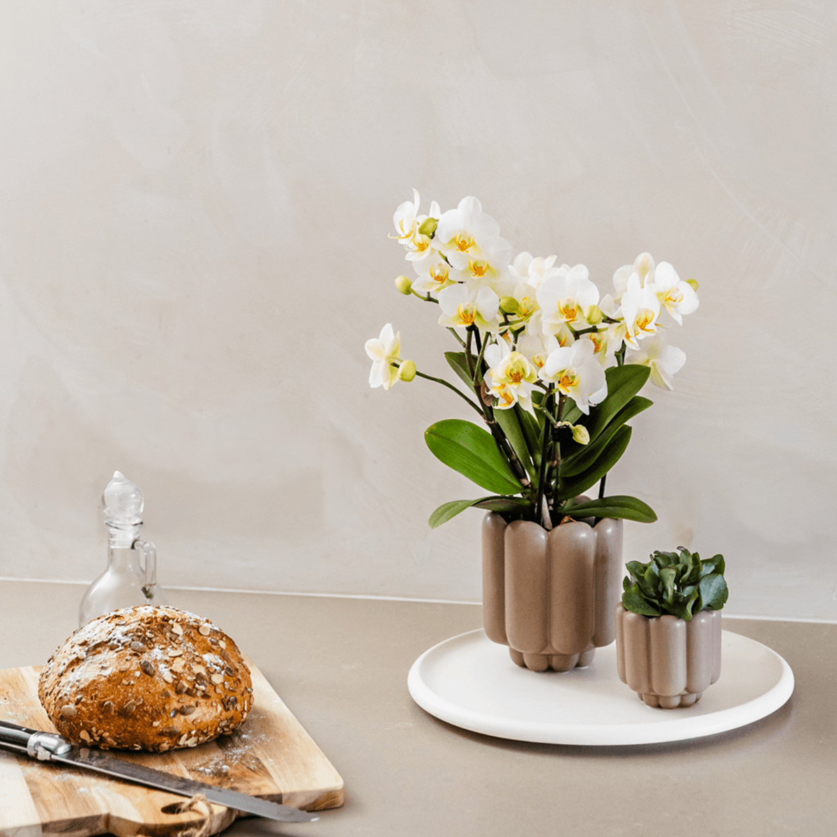 Image of Retro – Ziertopf Sand Ø9cm – Runder Übertopf mit Rillenstruktur – Blumentopf im Vintage – Design – Mattes Finish für Zimmerpflanzen & Orchideen-2