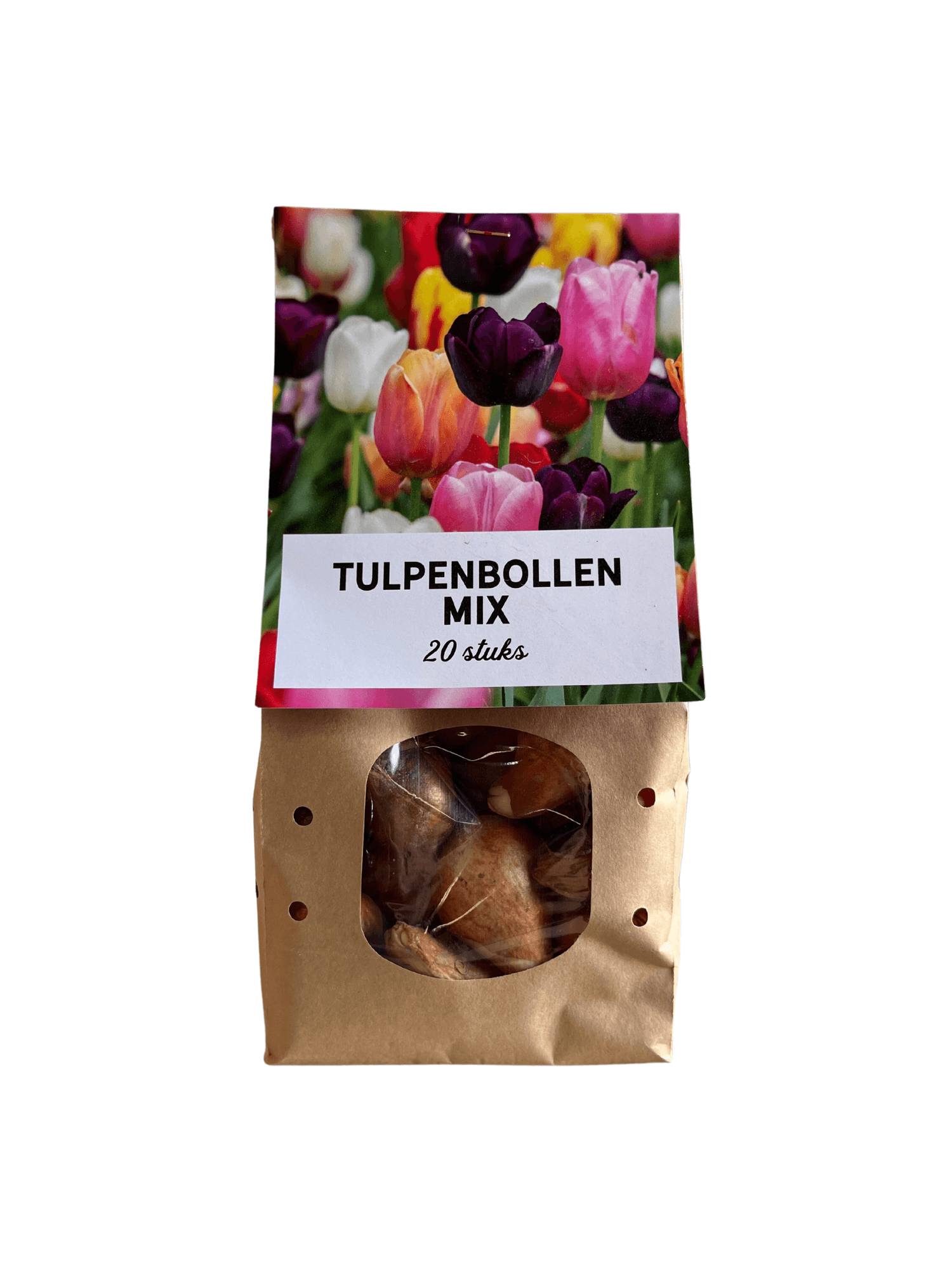 Image of Tulpenzwiebeln Mix – 20 Blumenzwiebeln – Bunte Tulpenmischung für Garten, Topf oder Beet – Frisch vom Züchter – Pflegeleicht & mehrfarbig – Frühblüher für Frühjahr-1