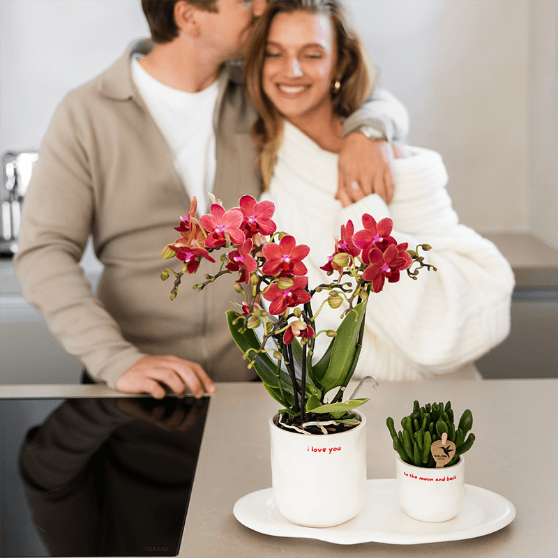 Image of Ziertopf I Love You – Ø9cm – Weißer Keramiktopf mit rotem Schriftzug – Romantischer Blumentopf als Geschenkidee-2