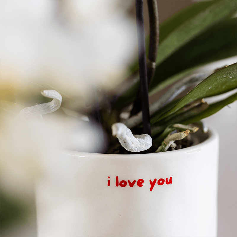 Image of Ziertopf I Love You – Ø9cm – Weißer Keramiktopf mit rotem Schriftzug – Romantischer Blumentopf als Geschenkidee-3