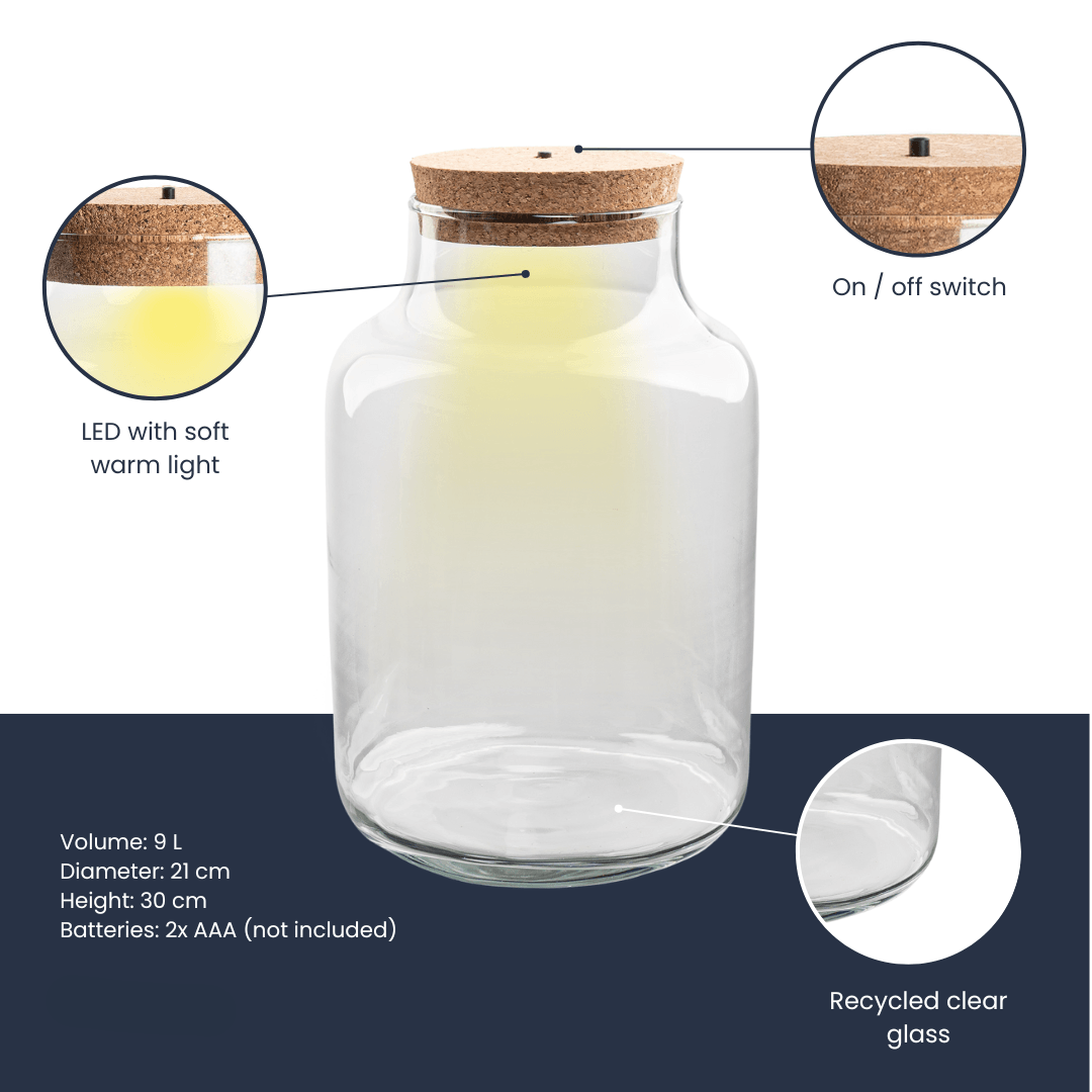 Image of Terrarienflasche Milky mit LED – Korkdeckel – Ø21cm ↕30cm – Glasflasche aus Recyclingglas – ca. 9L Volumen – Ideal für DIY – Terrarien & Mini-2