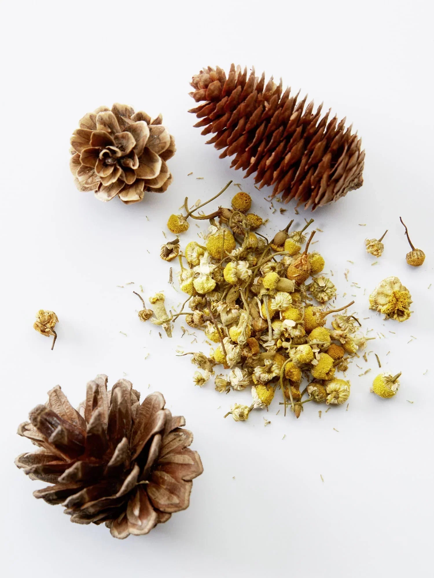 Image of American Crew 3-IN-1 Chamomile + Pine 1000ml-1