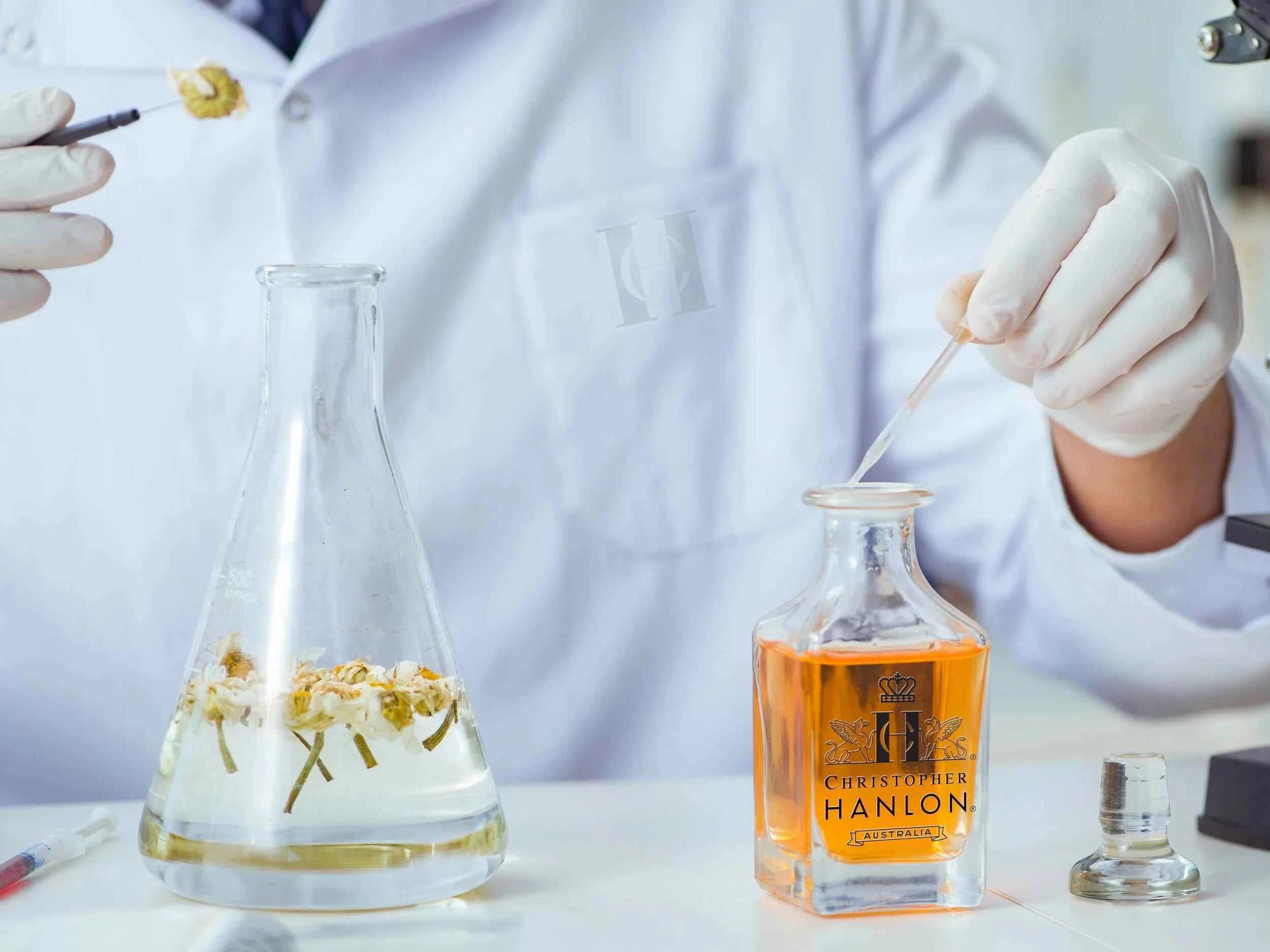 Image of CHRISTOPHER HANLON ROYAL BANKSIA