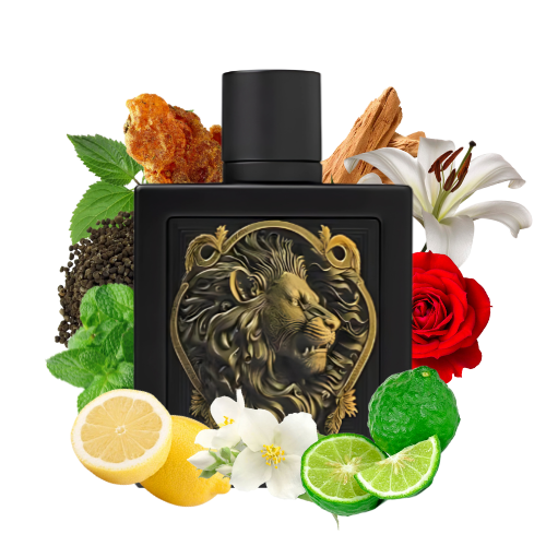 Image of Rayhaan Best Sellers – Aquatica, Lion y Terra-2