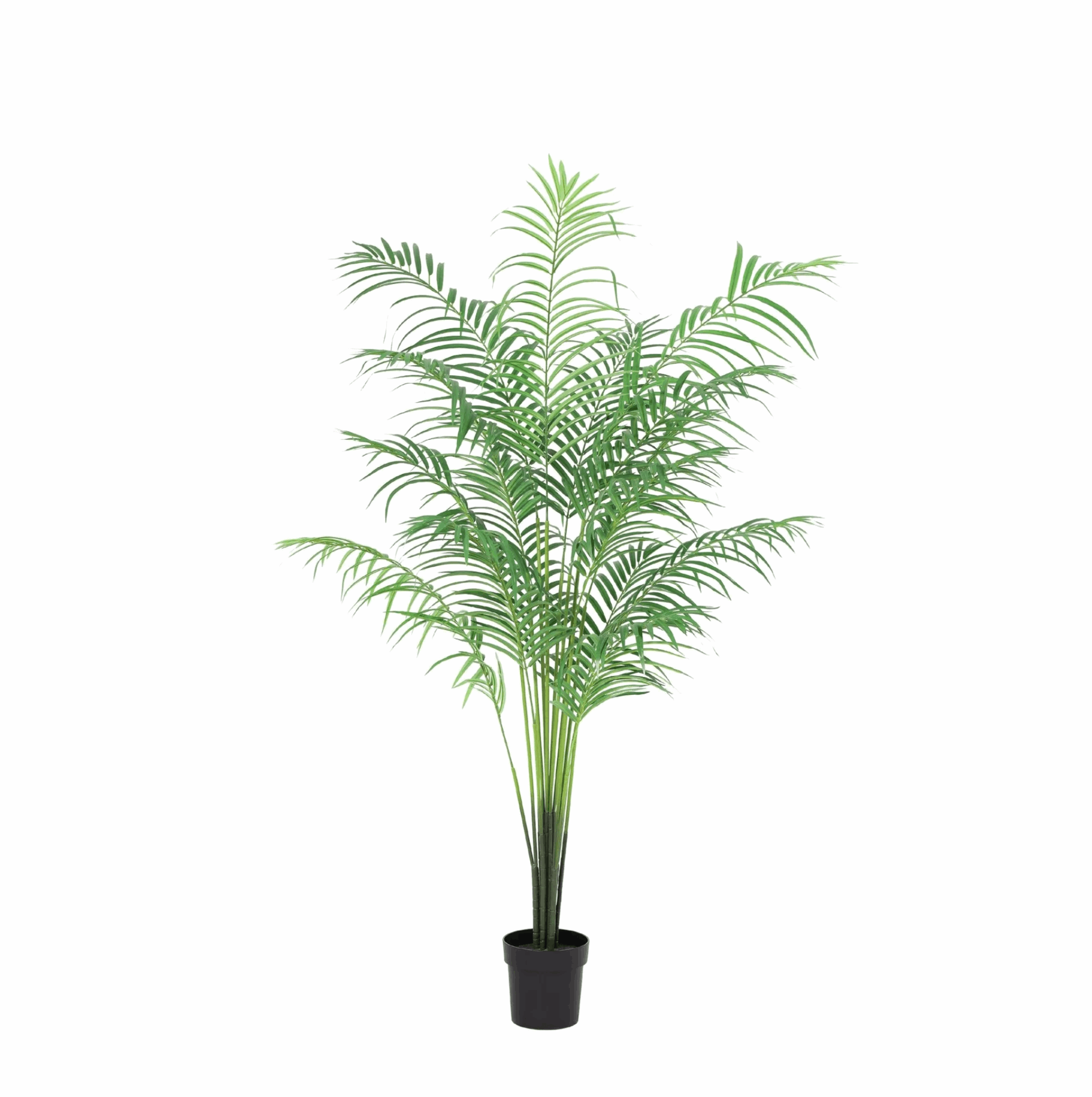 Image of Kentia Palme Kunstpflanze 170cm – Große Kunstpalme Deko Pflanze – Pflegefreie Zimmerpflanze für Wohnzimmer Büro & Empfangsbereich-0