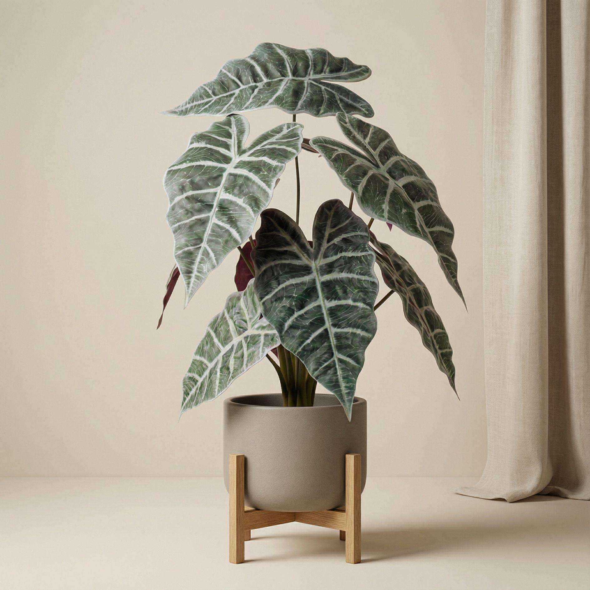 Image of Alocasia Kunstpflanze Busch im Topf 40cm – Realistische Deko Pflanze für Wohnzimmer Büro & Regal – Pflegefreie Zimmerpflanze mit breiten Blättern-1