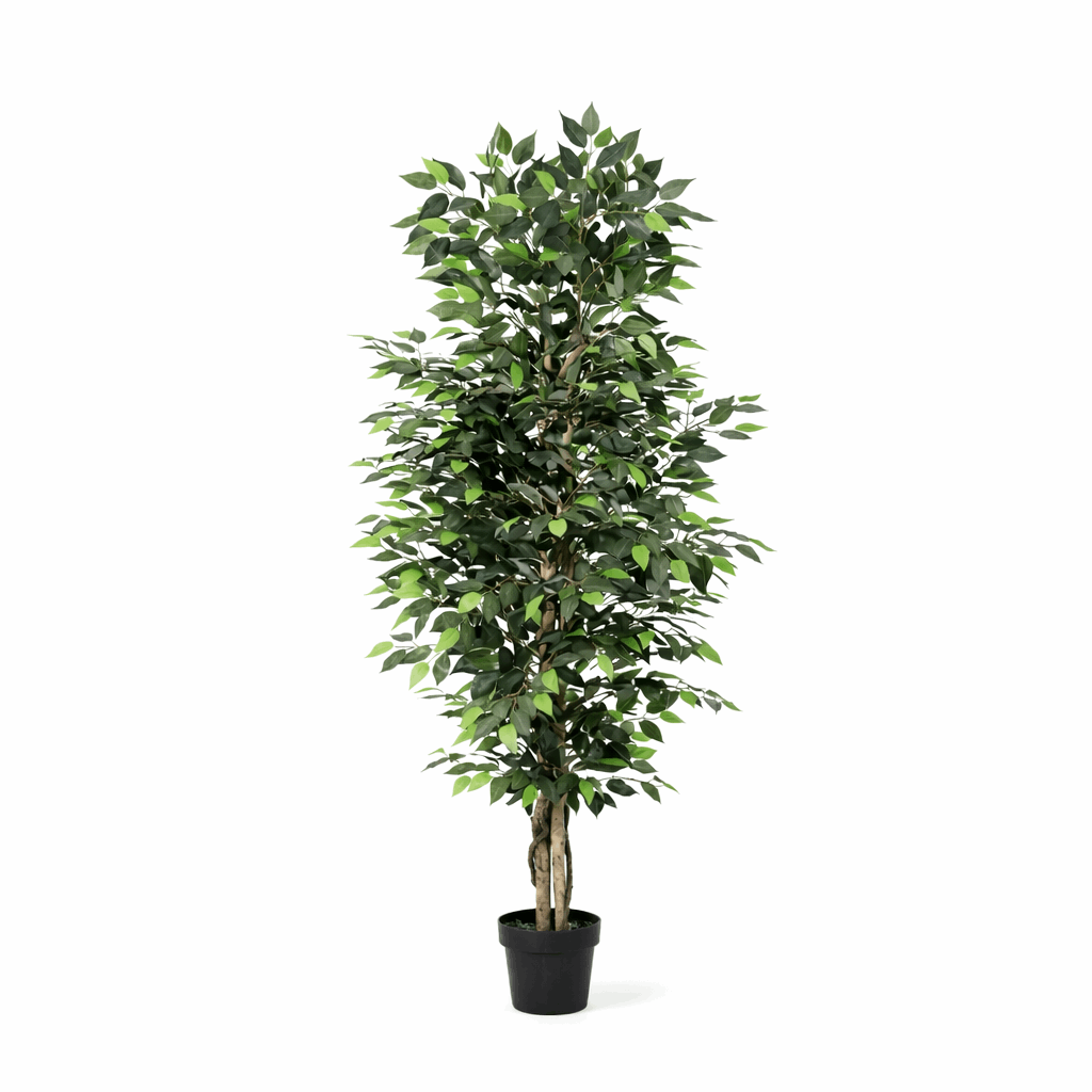 Image of Ficus Benjamina Kunstpflanze 180cm – Große Birkenfeige Deko Pflanze – Pflegefreie Zimmerpflanze für Wohnzimmer Büro & Empfangsbereich-0