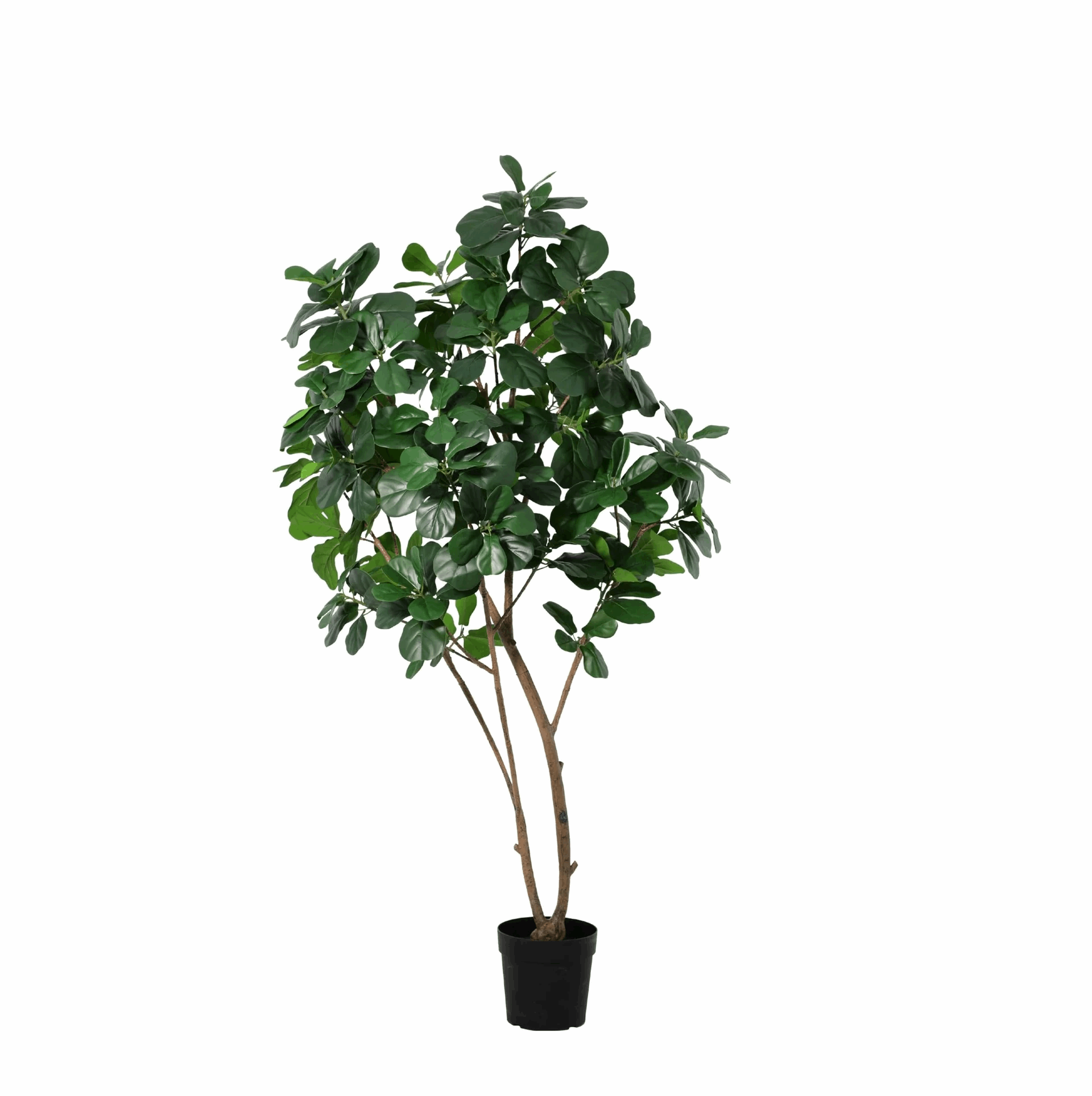 Image of Ficus Lyrata Tree Kunstpflanze 180cm – Große Geigenfeige Deko Baum – Pflegefreie Zimmerpflanze für Wohnzimmer Büro & Empfangsbereich