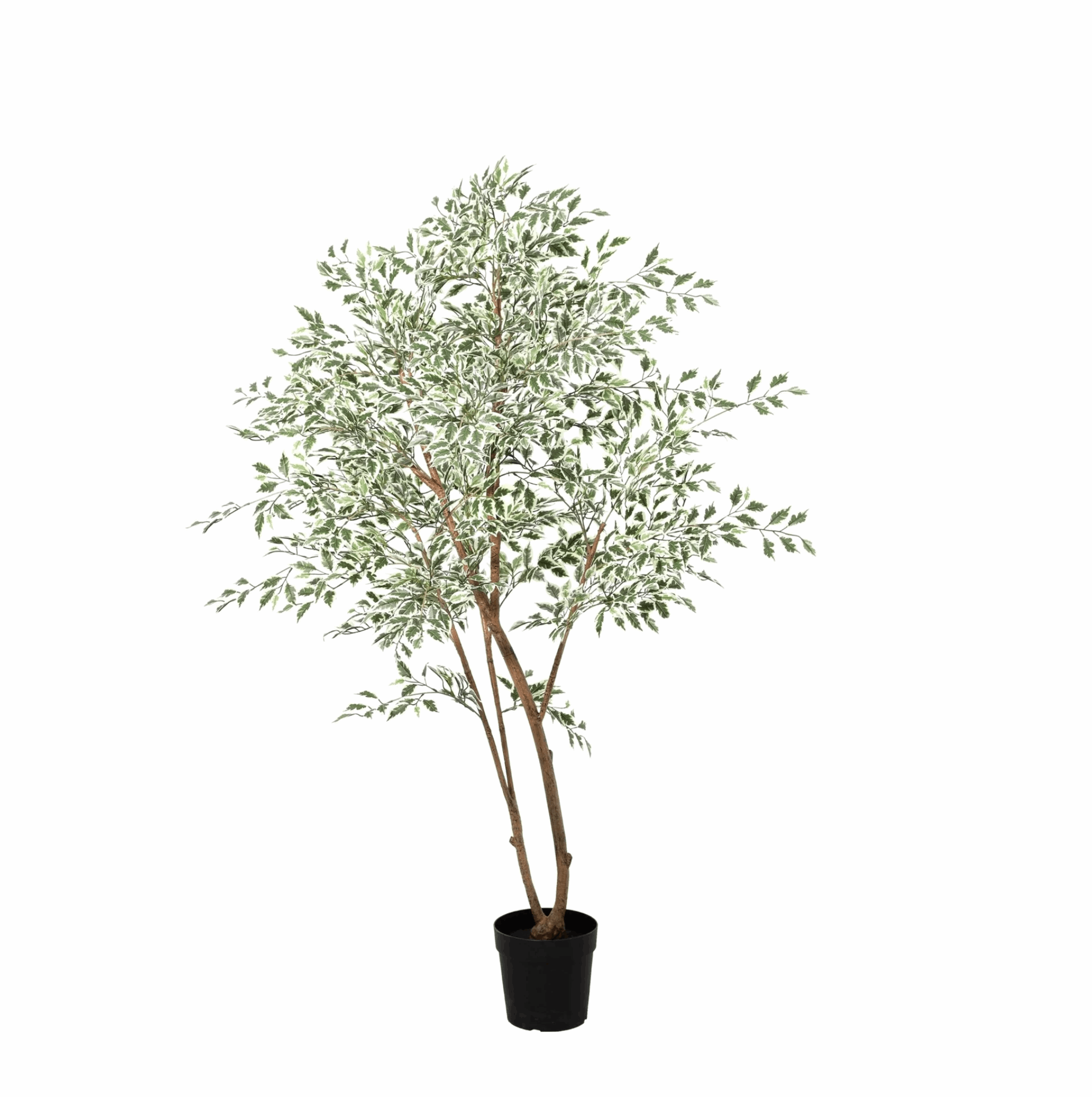 Image of Ficus Benjamina Variegata Kunstpflanze 185cm – Große Buntlaub Birkenfeige Deko Pflanze-0