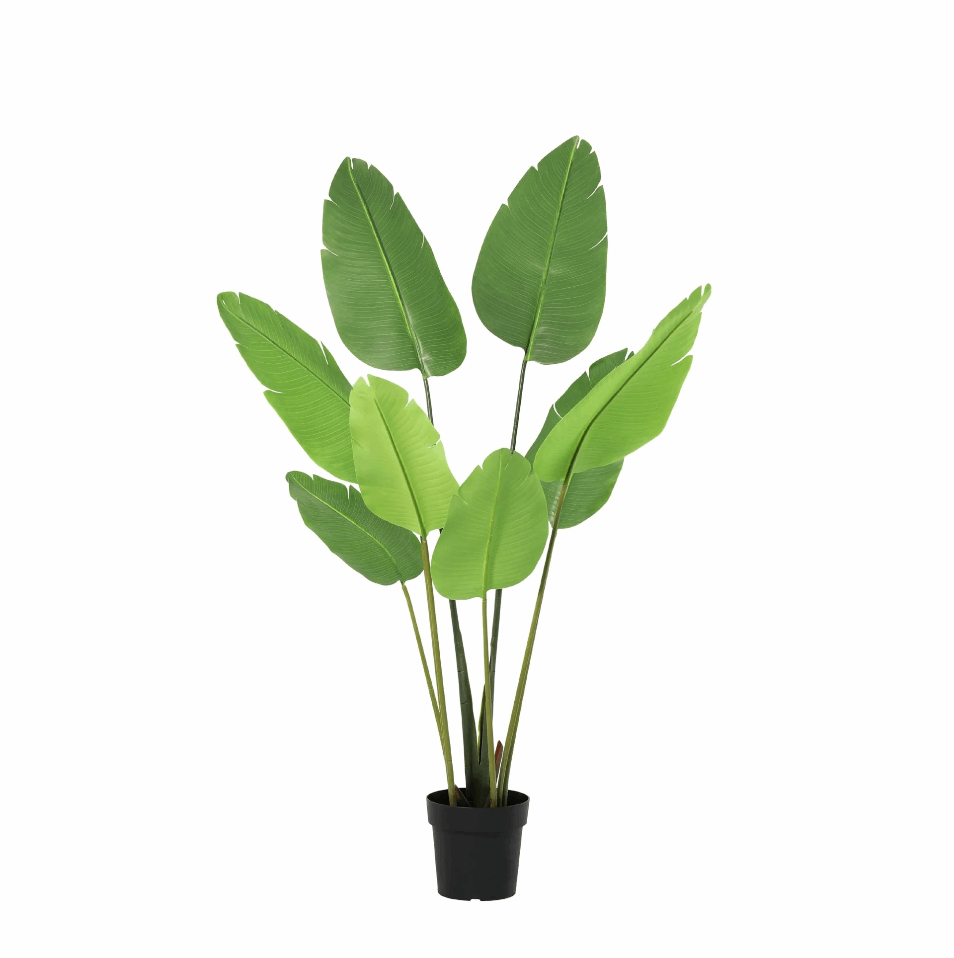 Image of Strelitzia Nicolai Kunstpflanze 155cm – Paradiesvogelblume Deko Pflanze – Pflegefreie Zimmerpflanze für Wohnzimmer Büro & Empfangsbereich-0