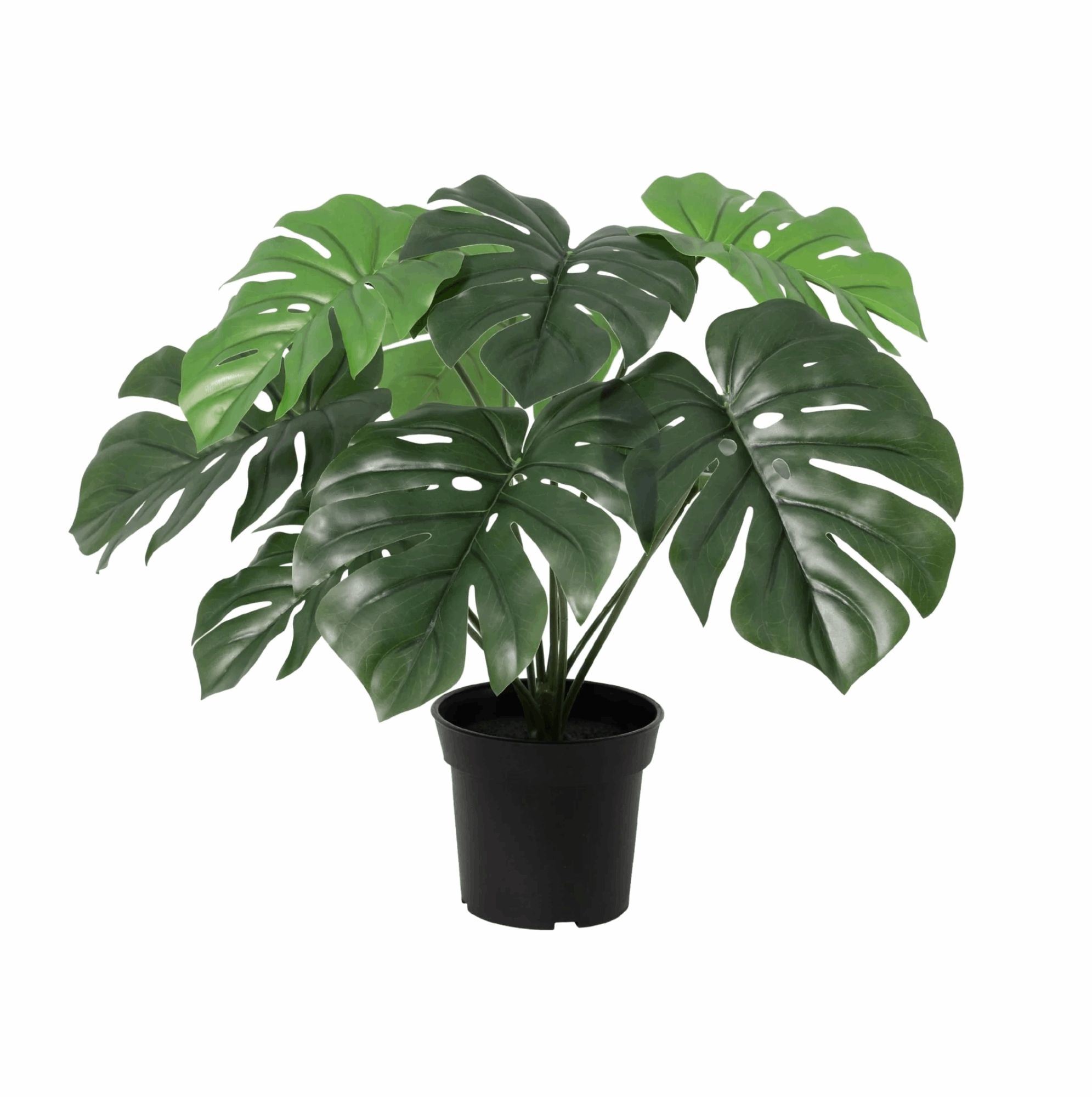 Image of Monstera Deliciosa Kunstpflanze 45cm – Fensterblatt Deko Pflanze – Pflegefreie Zimmerpflanze für Wohnzimmer Büro & Fensterbank-0