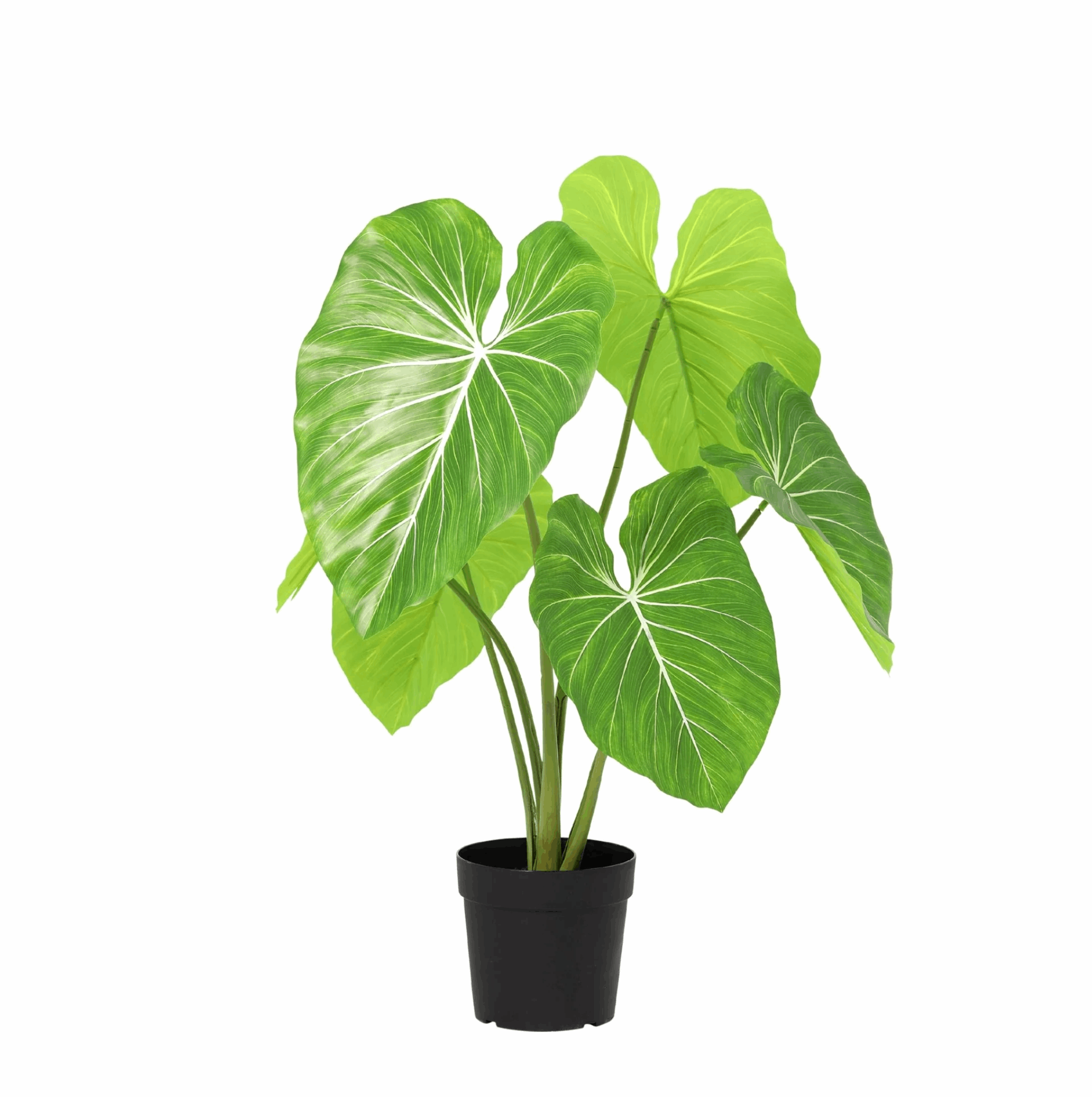 Image of Philodendron Kunstpflanze 100cm – Tropische Deko Pflanze – Pflegefreie Zimmerpflanze für Wohnzimmer Büro & Empfangsbereich-0