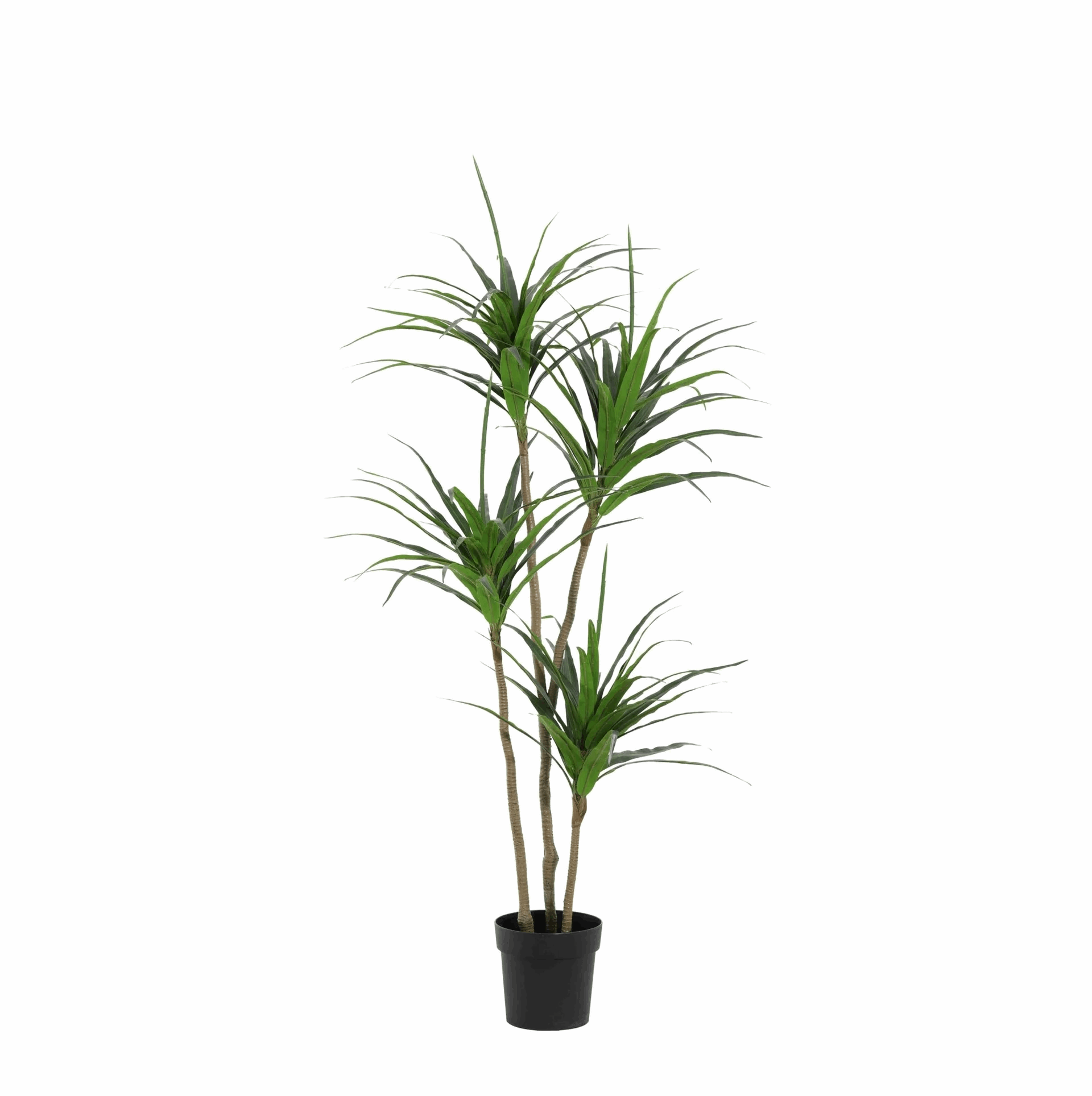 Image of Dracaena Kunstpflanze 165cm – Große Drachenbaum Deko Pflanze – Pflegefreie Zimmerpflanze für Wohnzimmer Büro & Empfangsbereich