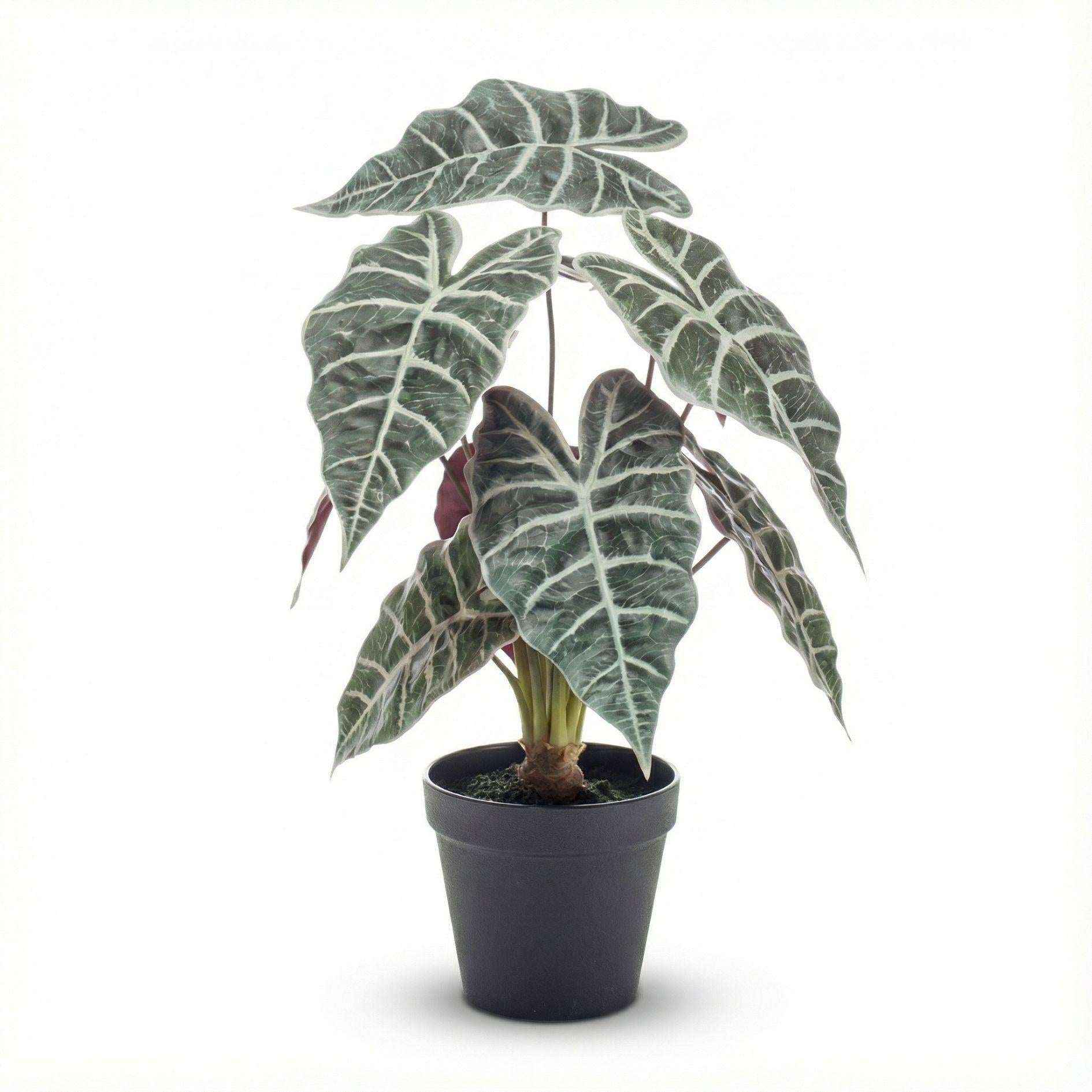 Image of Alocasia Kunstpflanze Busch im Topf 40cm – Realistische Deko Pflanze für Wohnzimmer Büro & Regal – Pflegefreie Zimmerpflanze mit breiten Blättern-0