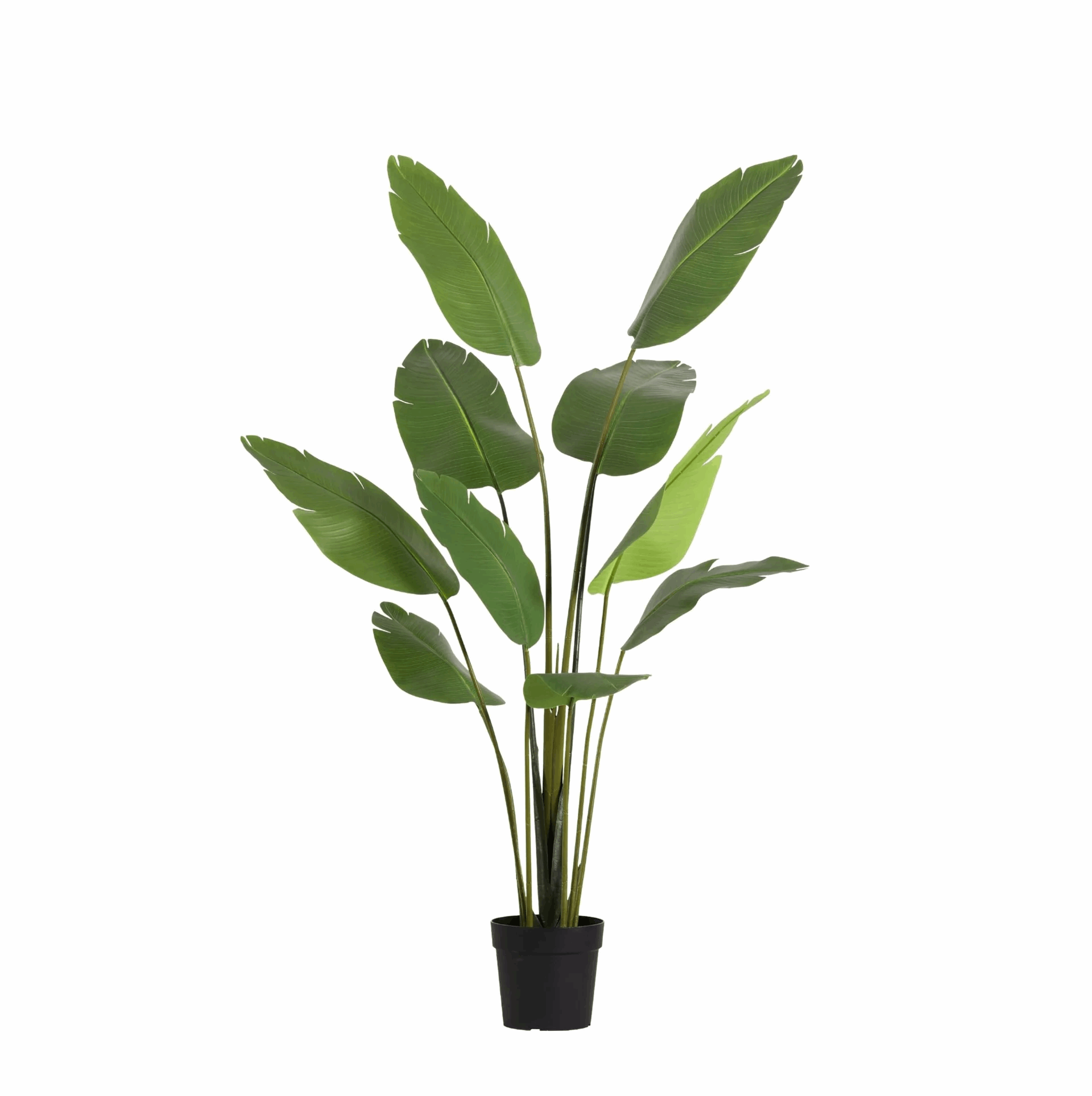 Image of Strelitzia Nicolai Kunstpflanze 180cm – Große Paradiesvogelblume Deko Pflanze – Pflegefreie Zimmerpflanze für Wohnzimmer Büro & Empfangsbereich-0