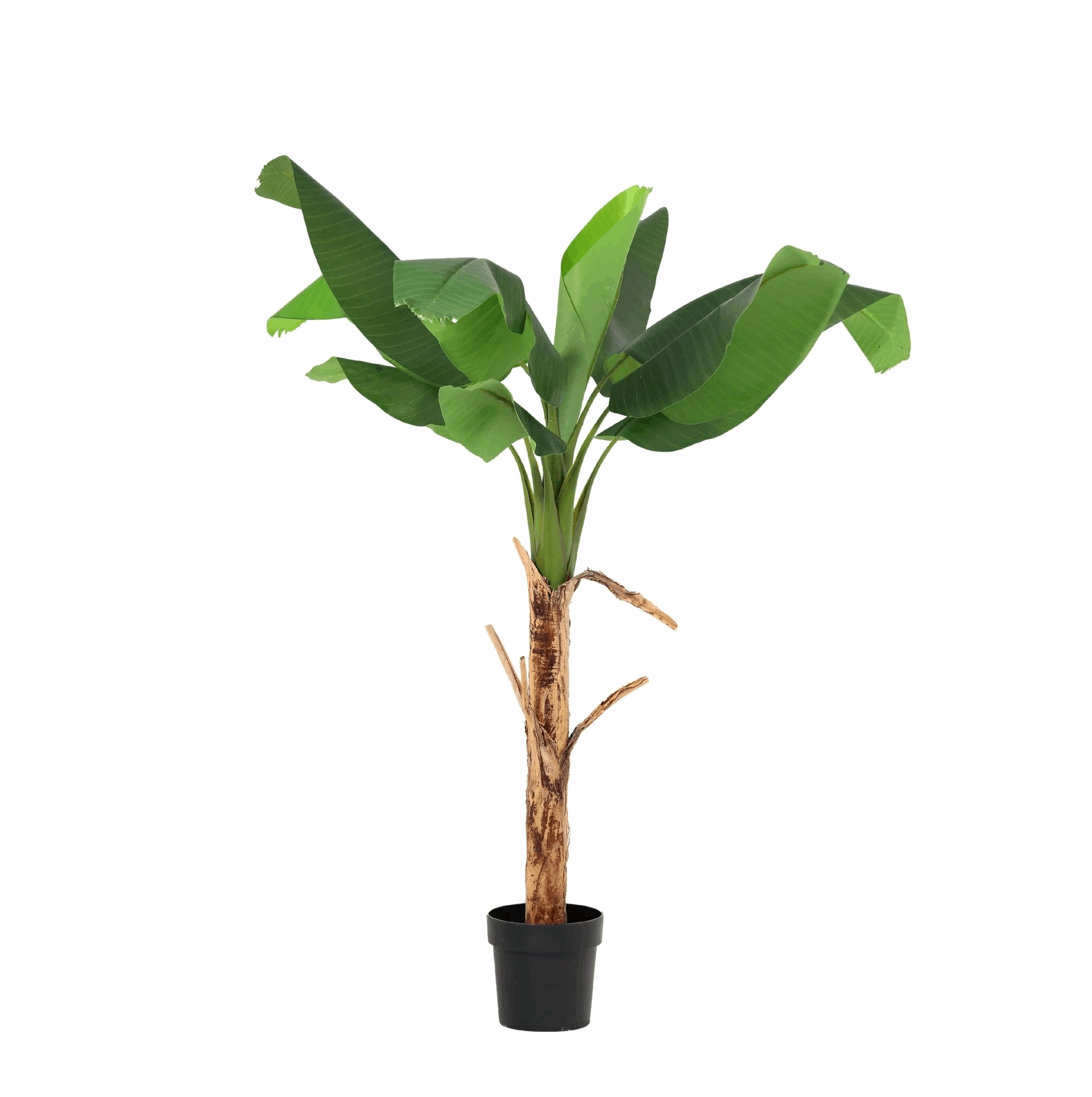 Image of Bananenpflanze Musa Kunstpflanze 150cm – Tropische Deko Pflanze – Pflegefreie Kunstpalme für Wohnzimmer Büro & Empfangsbereich-0