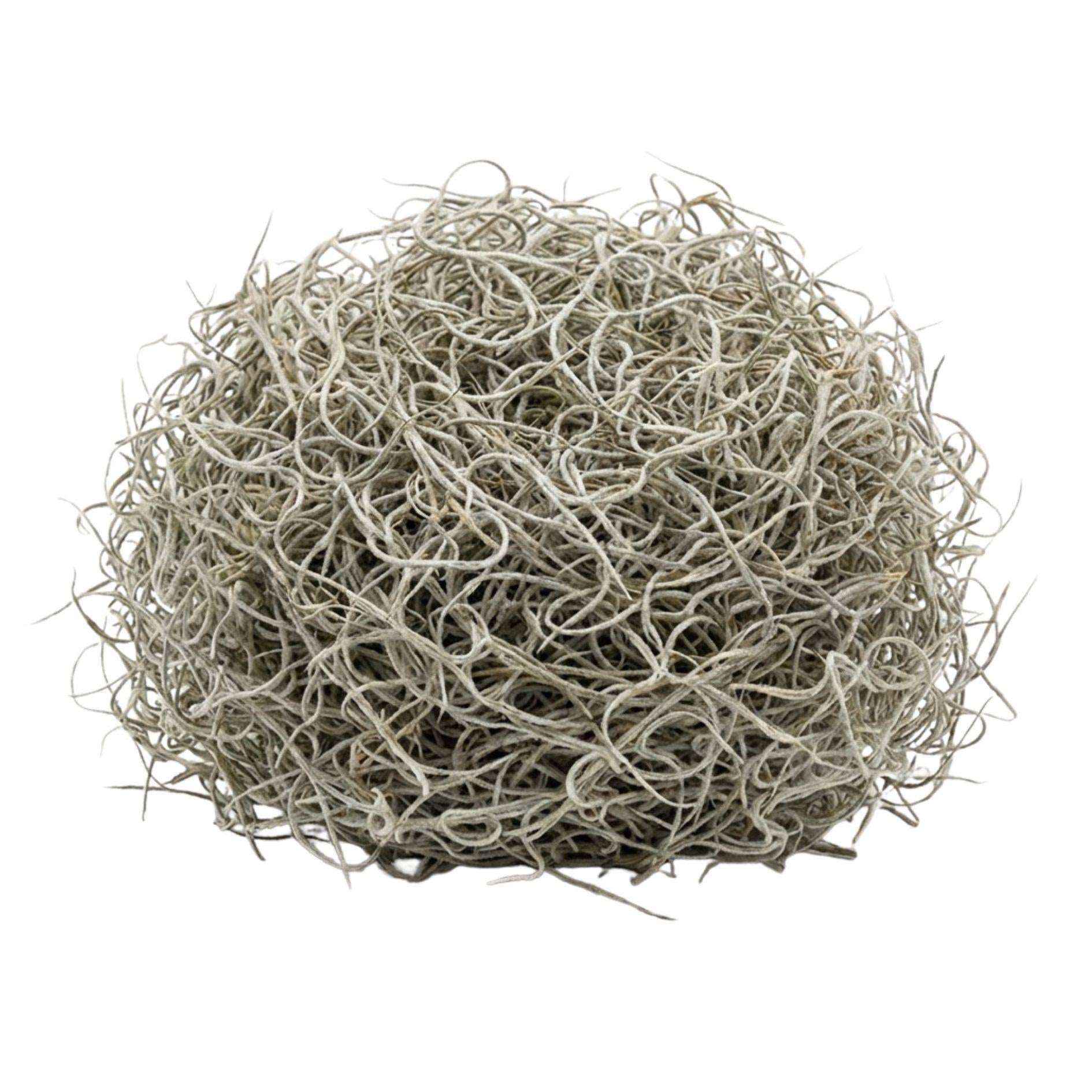Image of Getrocknetes Tillandsienmoos 1L – Spanisches Moos zur Dekoration – Natürliches Dekomaterial für Terrarium Floristik & Tischdeko – Grau-0