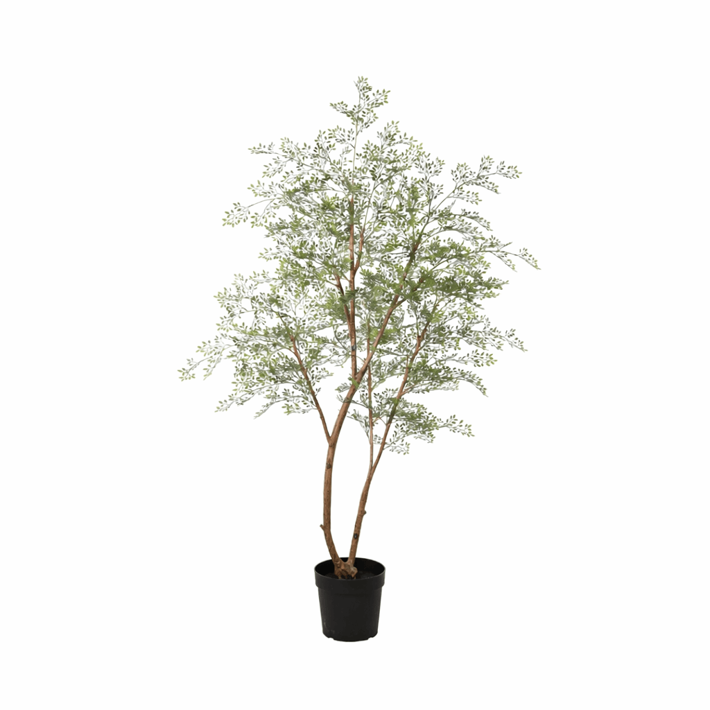 Image of Cassia Baum Kunstpflanze 180cm – Große Deko Kunstpflanze – Pflegefreie Zimmerpflanze für Wohnzimmer Büro & Empfangsbereich-0