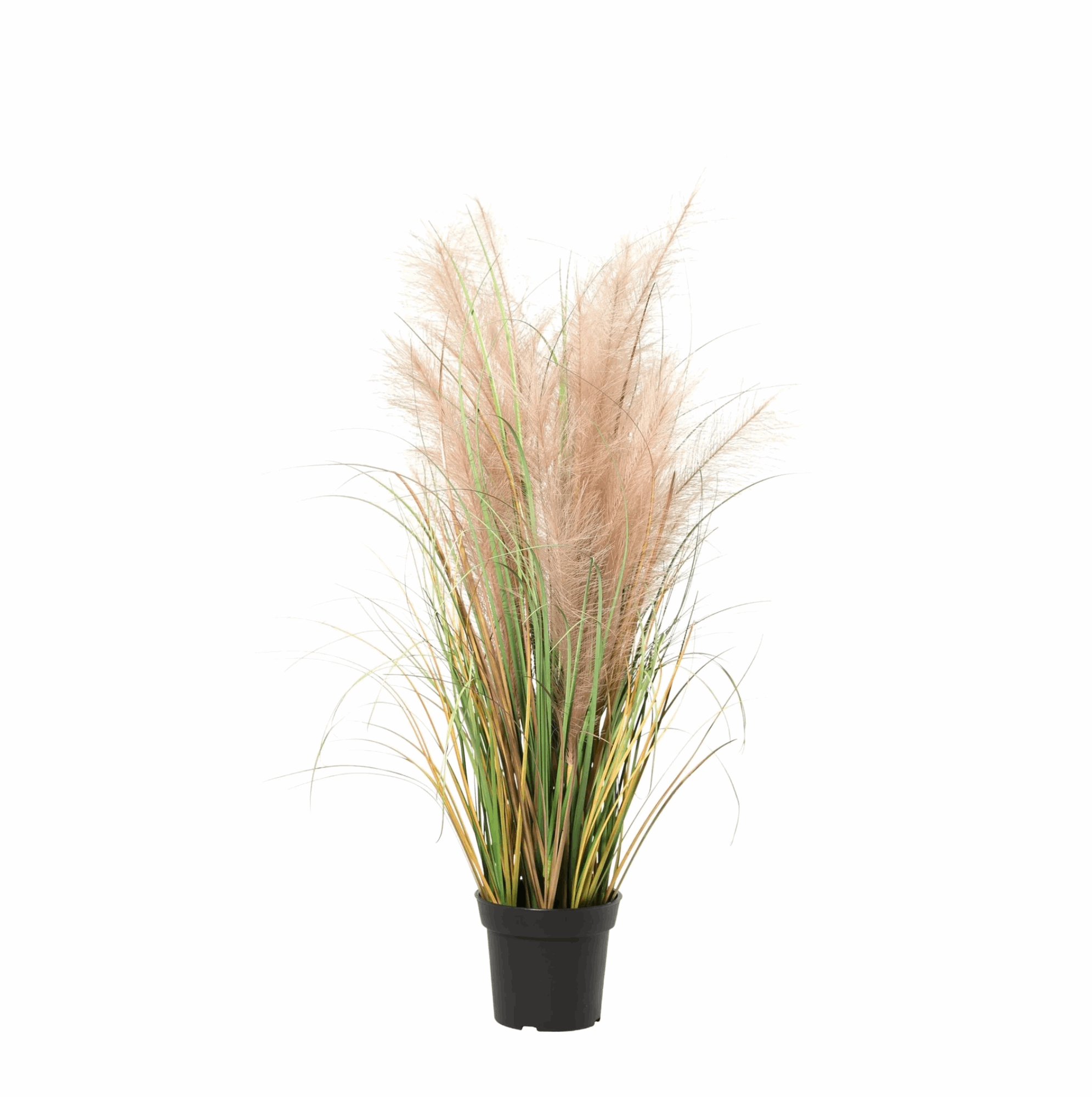 Image of Schilfrohr Kunstpflanze 95cm – Dekorative Reetgras Deko Pflanze – Pflegefreie Kunstpflanze für Wohnzimmer Büro & Balkonüberdachung-0