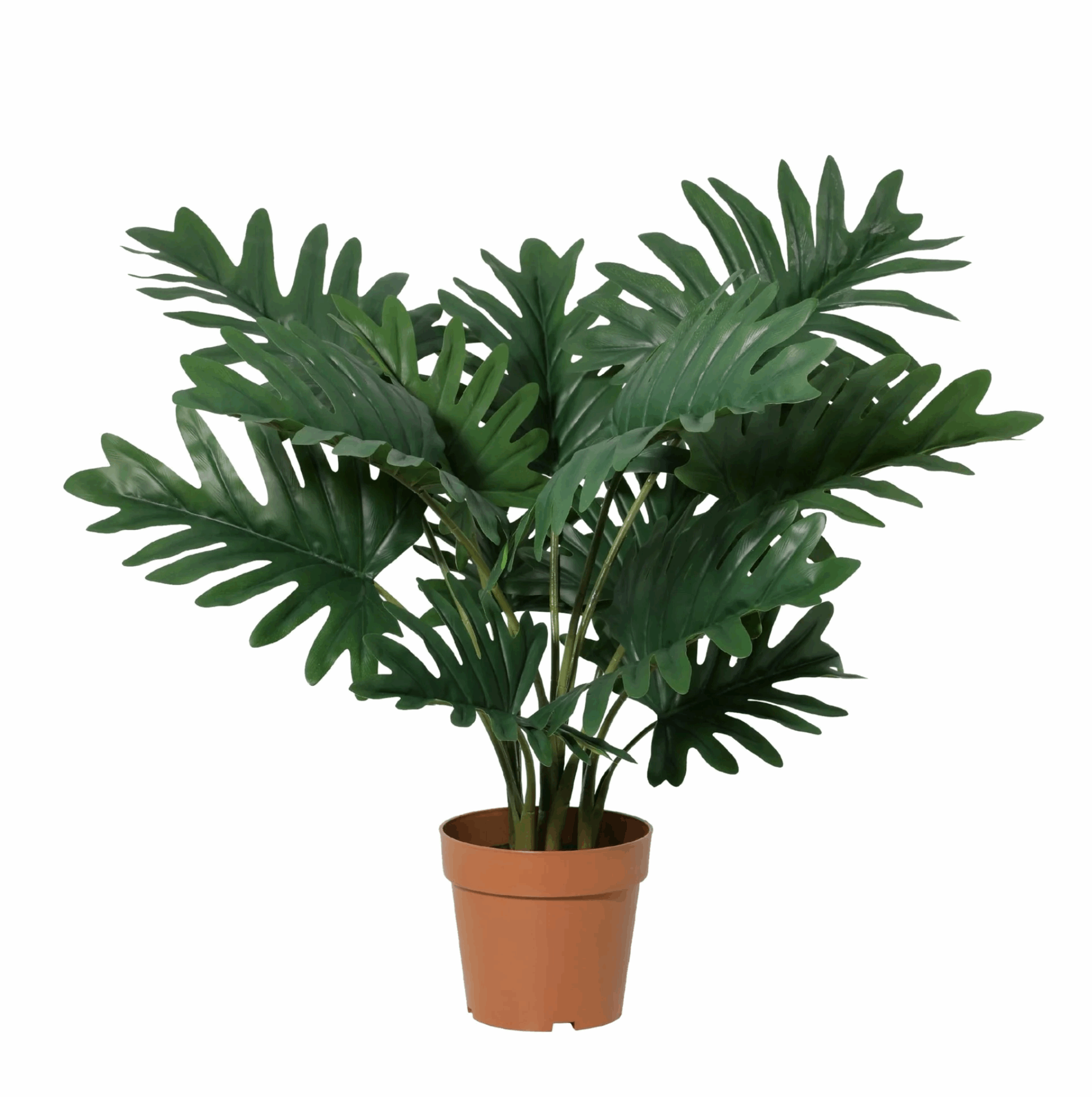 Image of Philodendron Selloum Kunstpflanze 70cm – Große Blätter Deko Pflanze – Pflegefreie Zimmerpflanze für Wohnzimmer Büro & Regal-0