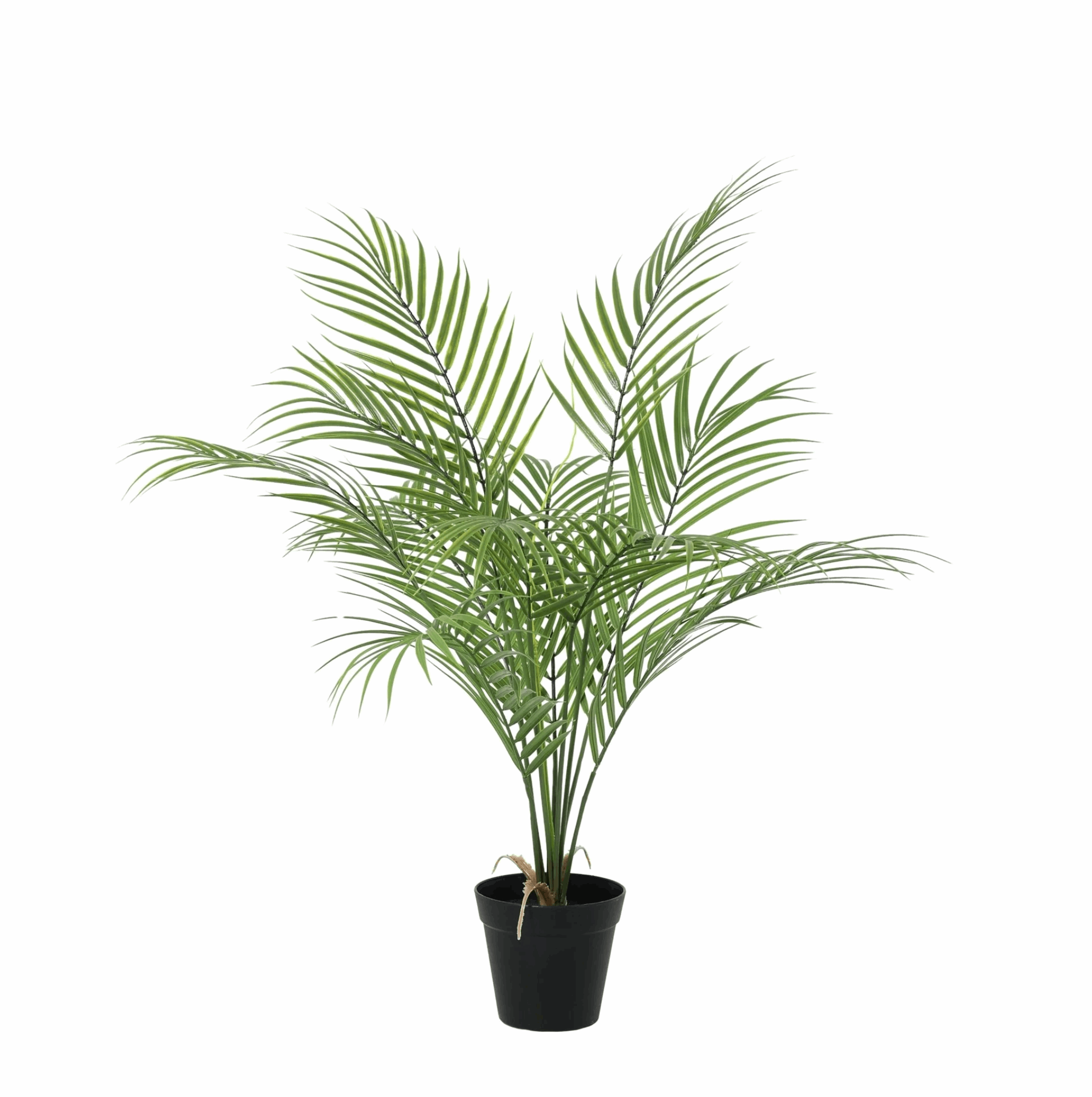 Image of Kentia Palme Kunstpflanze 65cm – Dekorative Kunstpalme Zimmerpflanze – Pflegefreie Deko Pflanze für Wohnzimmer Büro & Regal-0