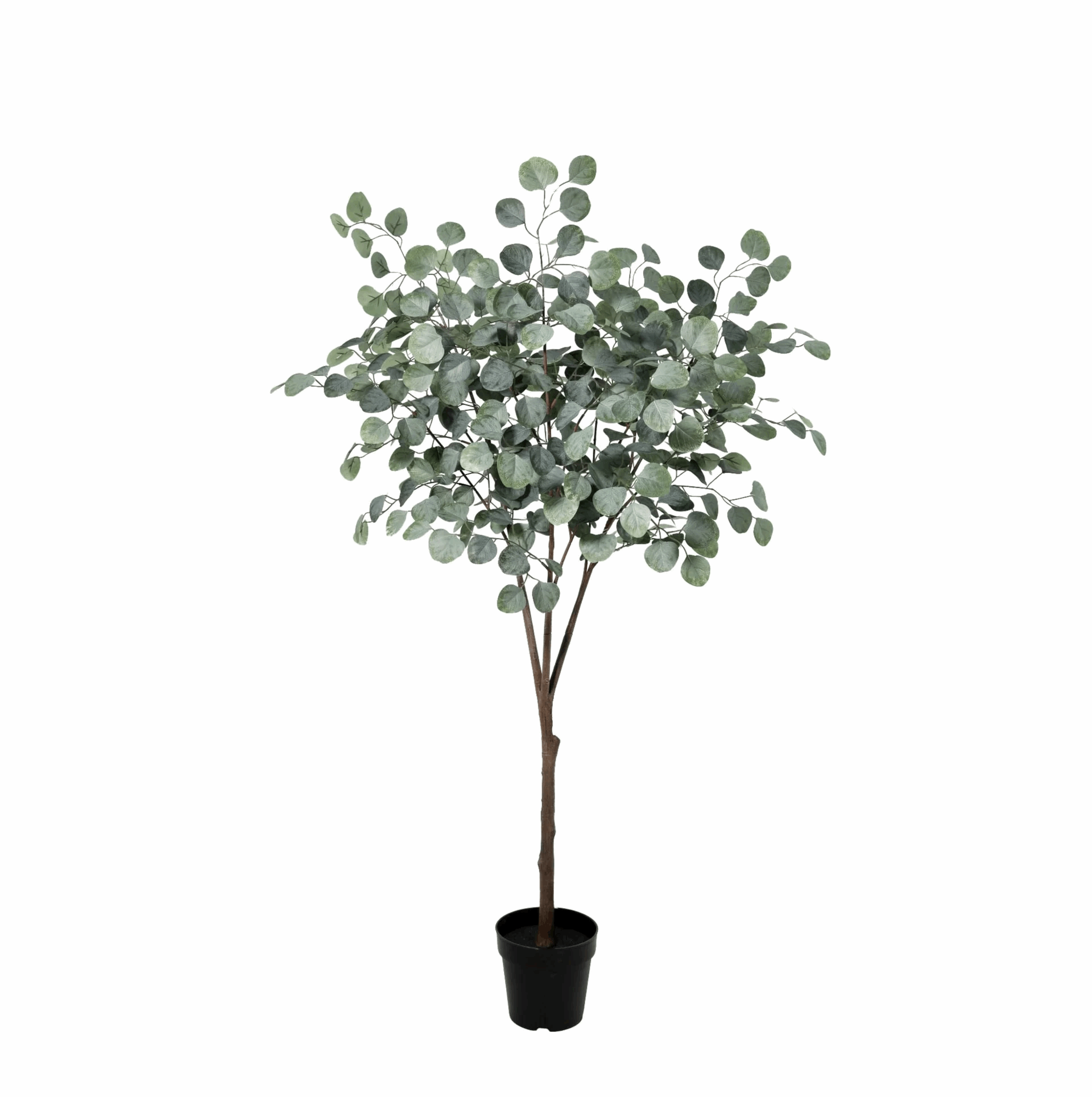 Image of Eukalyptus Baum Kunstpflanze 150cm – Realistische Eucalyptus Deko Pflanze – Pflegefreie Zimmerpflanze für Wohnzimmer Büro & Empfangsbereich-0