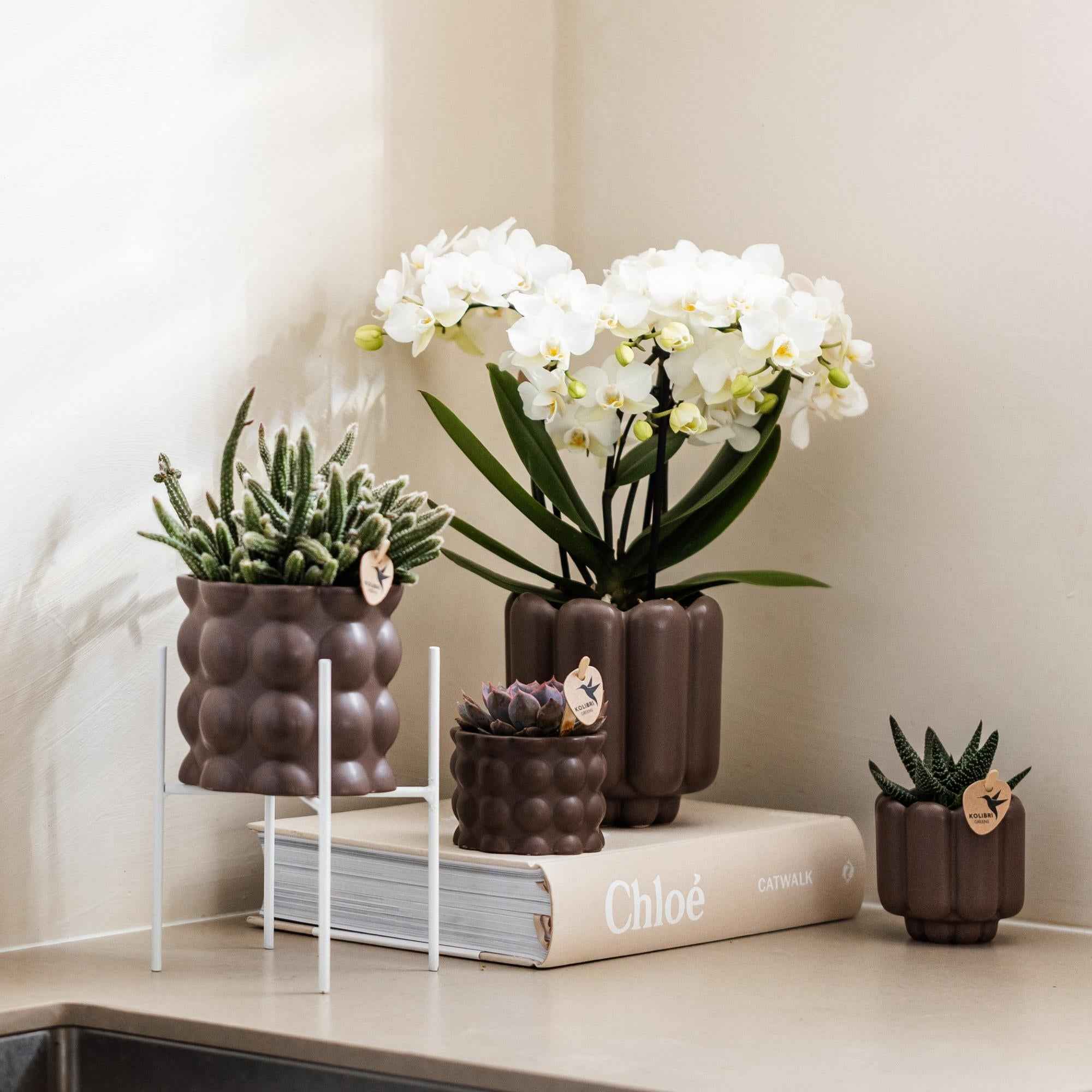 Image of Weißer Metall – Pflanzenständer Ø12cm – Blumentopfständer aus Metall – Pflanzenhalter für Zimmerpflanzen – Stabil, stilvoll & vielseitig-3