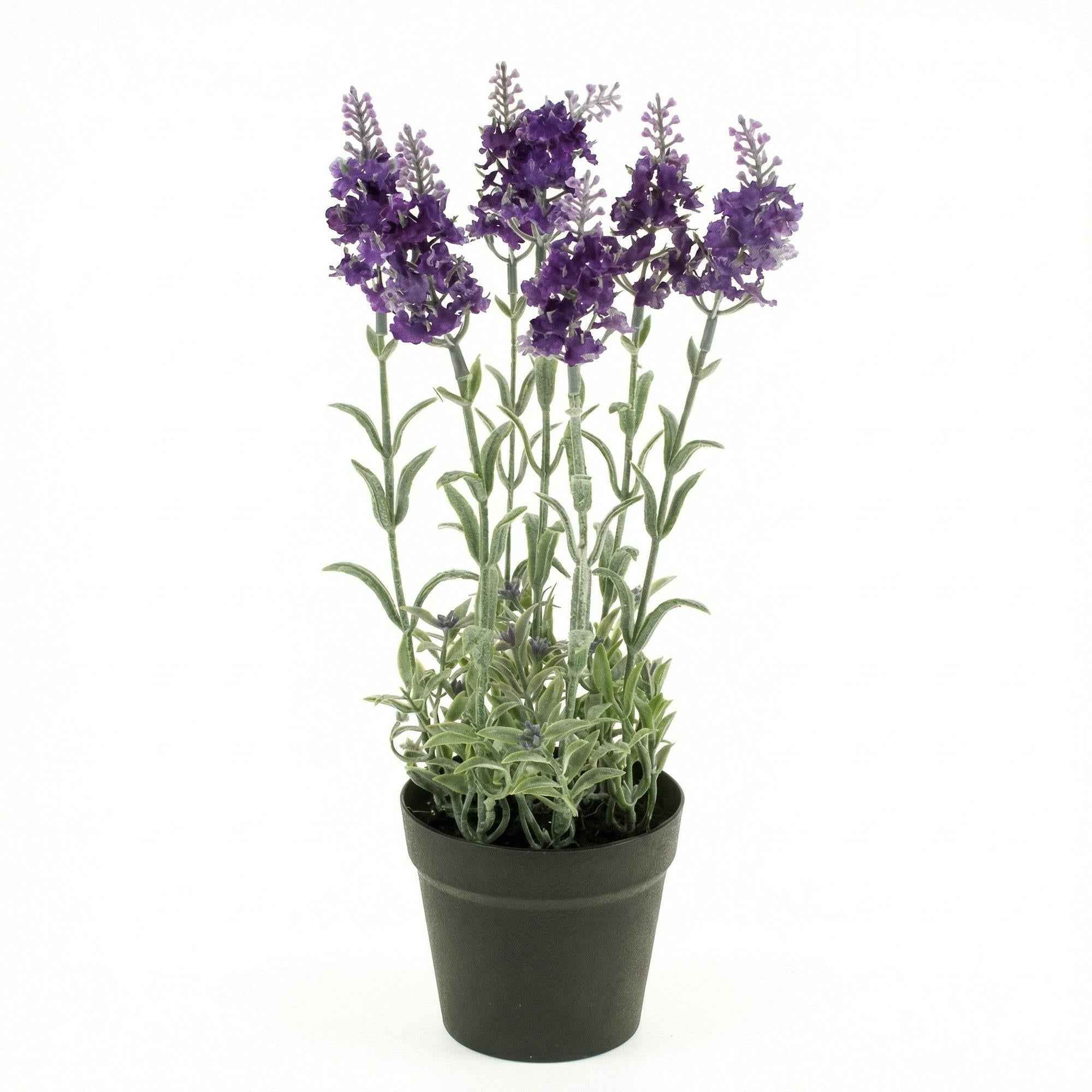 Image of Künstlicher Lavendel im Topf 28cm – violette Kunstpflanze mit naturgrünem Blattwerk – Provence Look ganzjährig-0