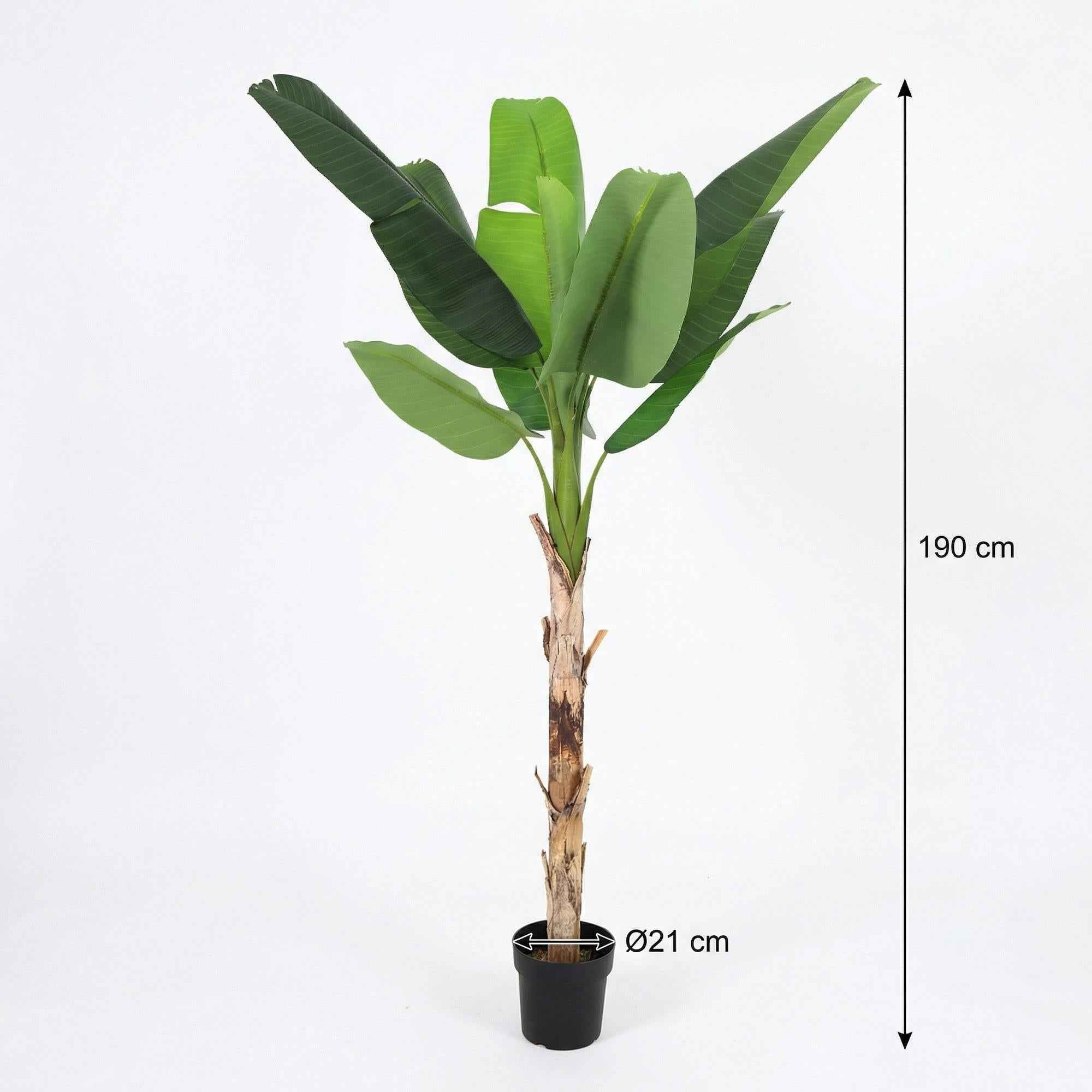 Image of Kunstpflanze Bananenpflanze Musa190cm – künstliche Banana Plant – extra großer Kunstbaum mit realistischen XXL – Blättern – pflegeleichte Tropen-1