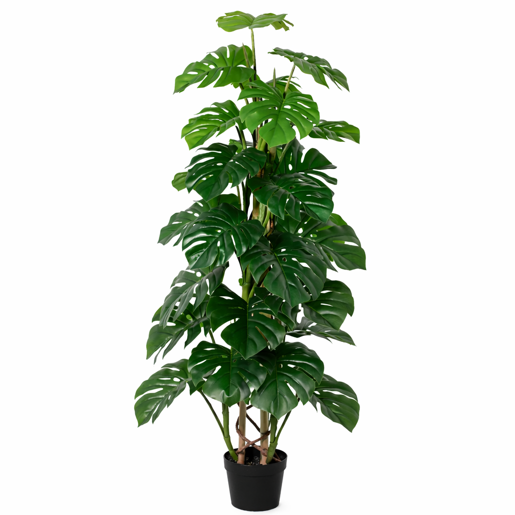 Image of Künstliche Monstera Monkey Leaf 125cm im Topf – realistische Kunstpflanze mit großen Blättern-0