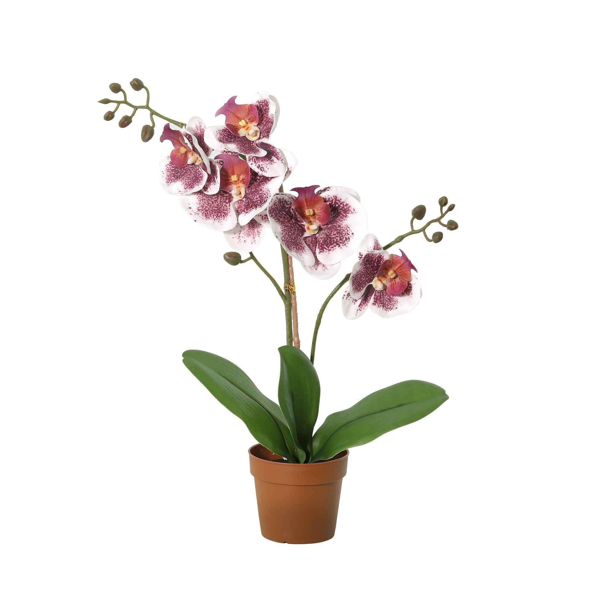 Image of Künstliche Phalaenopsis Orchidee violett weiß 41cm Kunstpflanze blühende Orchidee für Zimmer & Büro Badezimmer pflegefreie Wohnraum Deko-0