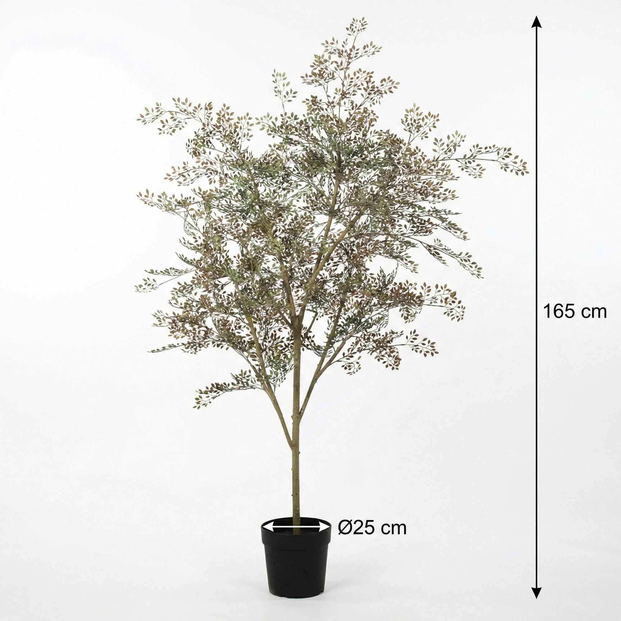 Image of Kunstpflanze Bucida165cm – künstlicher Deko – Baum im Topf – realistische Blattoptik & natürlicher Wuchs-3