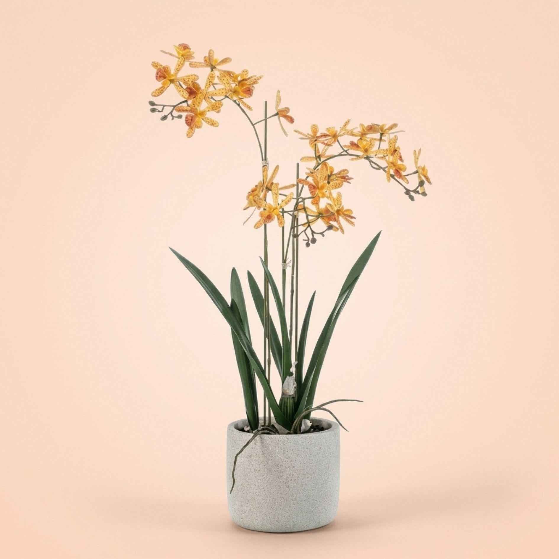 Image of Renanthera Orchidee künstlich 56cm im Topf – gelb orange blühende Kunstpflanze im grauen Topf-0
