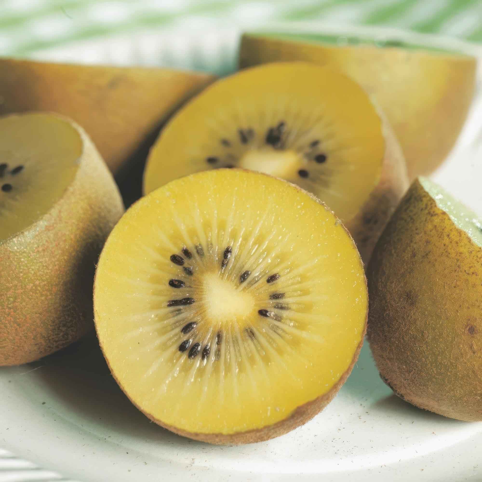 Image of Actinidia deliciosa Golden Kiwi – 2 Obstpflanzen – Süße gelbe Früchte – Ø15cm Höhe 50cm – Einfach zu pflegen & vitaminreich