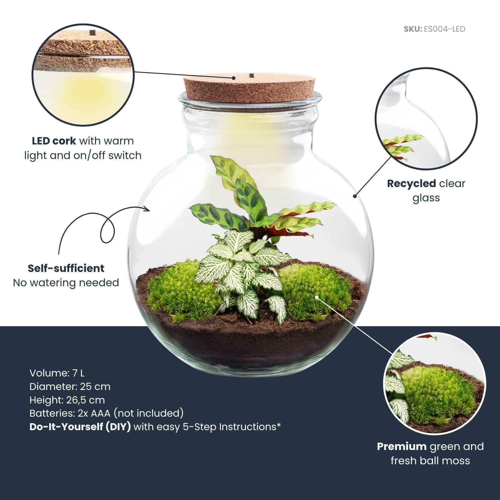 Image of Flaschengarten Teddy mit LED – Korken – Ø25cm ↕26,5cm – DIY Pflanzenterrarium mit Calathea & Fittonia – Selbstversorgendes Mini – Ökosystem im Glas-1