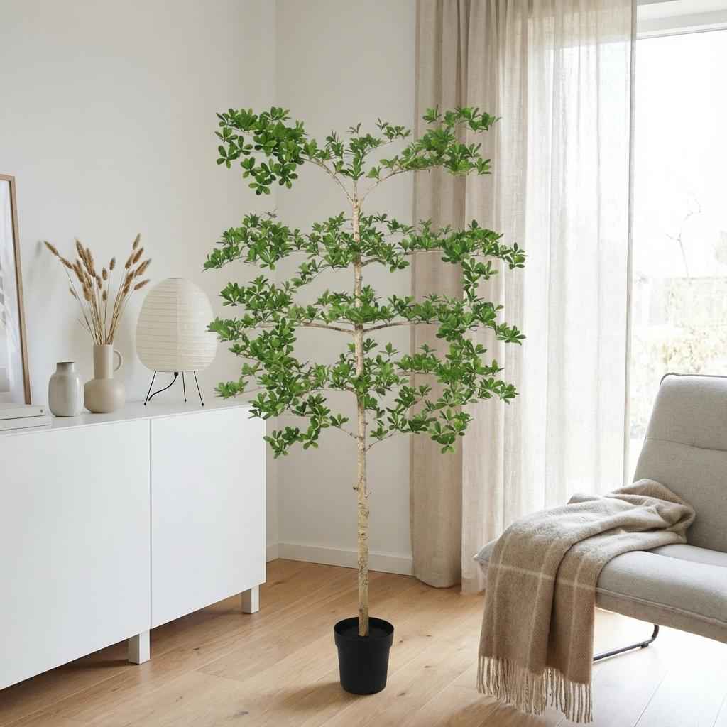 Image of Bucida Kunstpflanze 200cm – Große Designer Deko Baum Pflanze – Pflegefreie Zimmerpflanze für Wohnzimmer Büro & Empfangsbereich-3