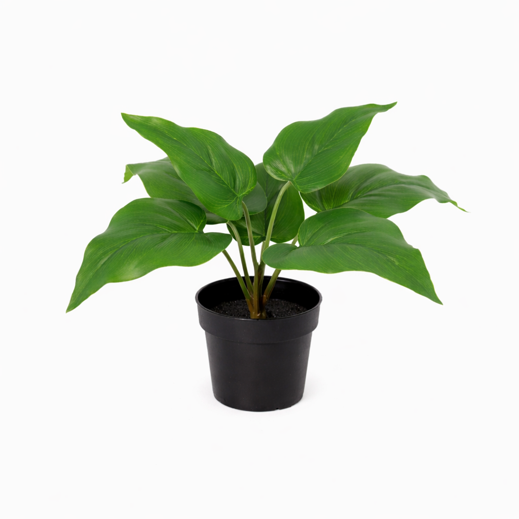 Image of Künstlicher Philodendron Imperial Green 25cm Kunstpflanze grün für Wohnzimmer Büro Badezimmer Regal pflegefreie Wohnraum Deko kompakte Kunstpflanze-0
