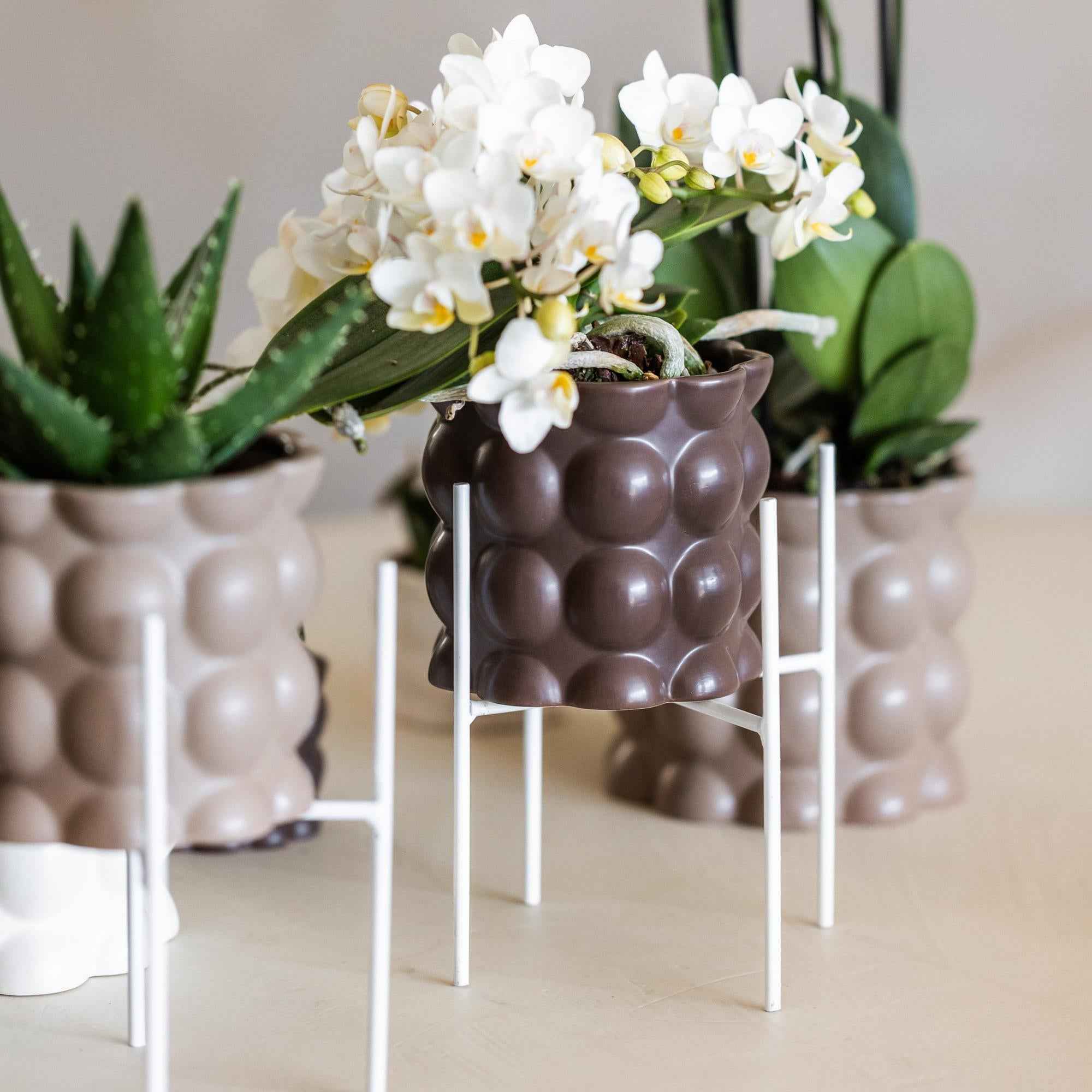 Image of Weißer Metall – Pflanzenständer Ø12cm – Blumentopfständer aus Metall – Pflanzenhalter für Zimmerpflanzen – Stabil, stilvoll & vielseitig-2