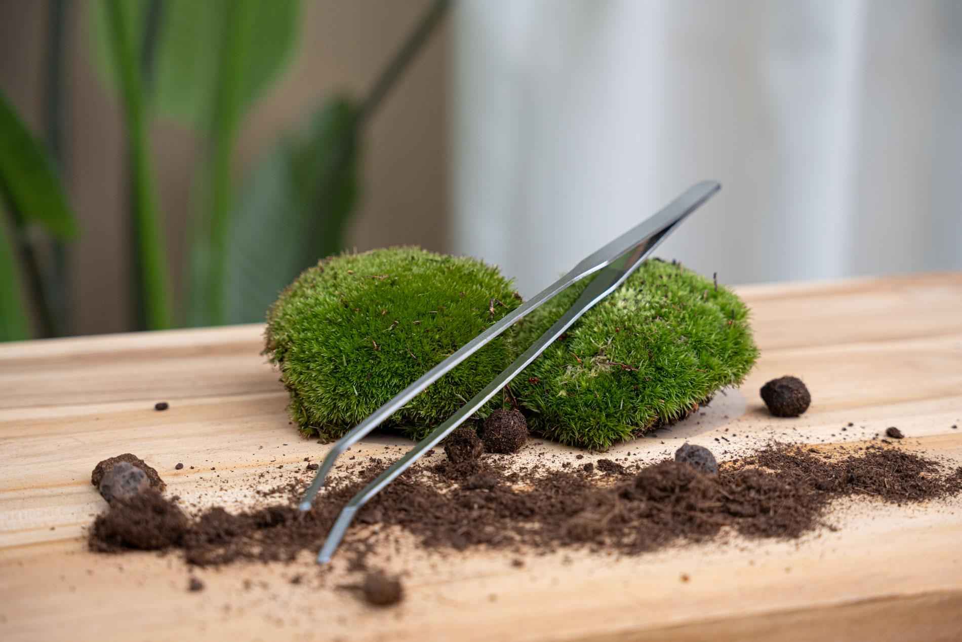 Image of Terrarienpinzette – Edelstahl – 26cm – Lange Greifpinzette für Terrarium & Flaschengarten-0