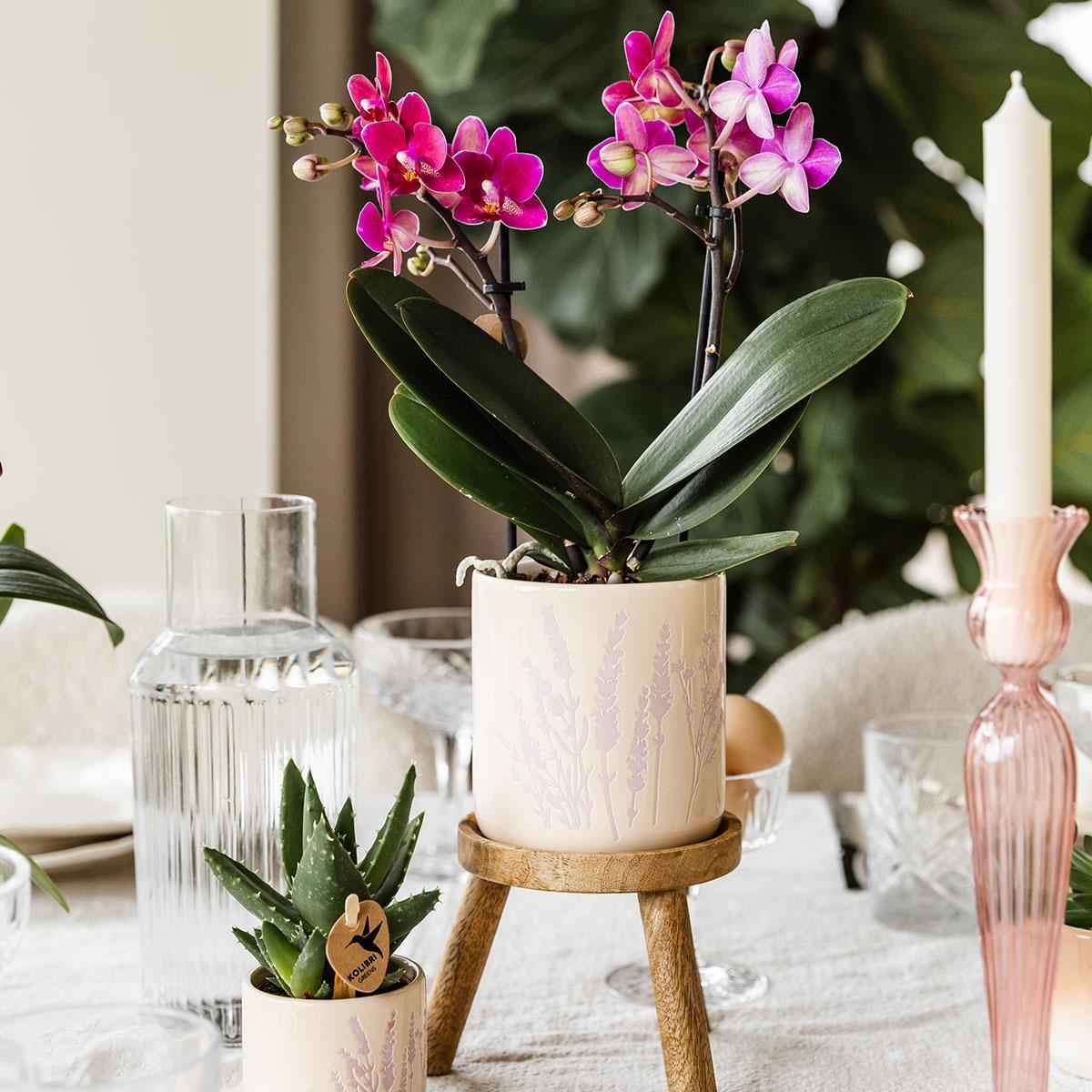 Image of Blumentopf Lavendel Ø9cm – Pflanztopf in sanftem Violett – Für kleine Zimmerpflanzen, Kräuter, Sukkulenten & Mini – Arrangements – Stilvoll & robust-3